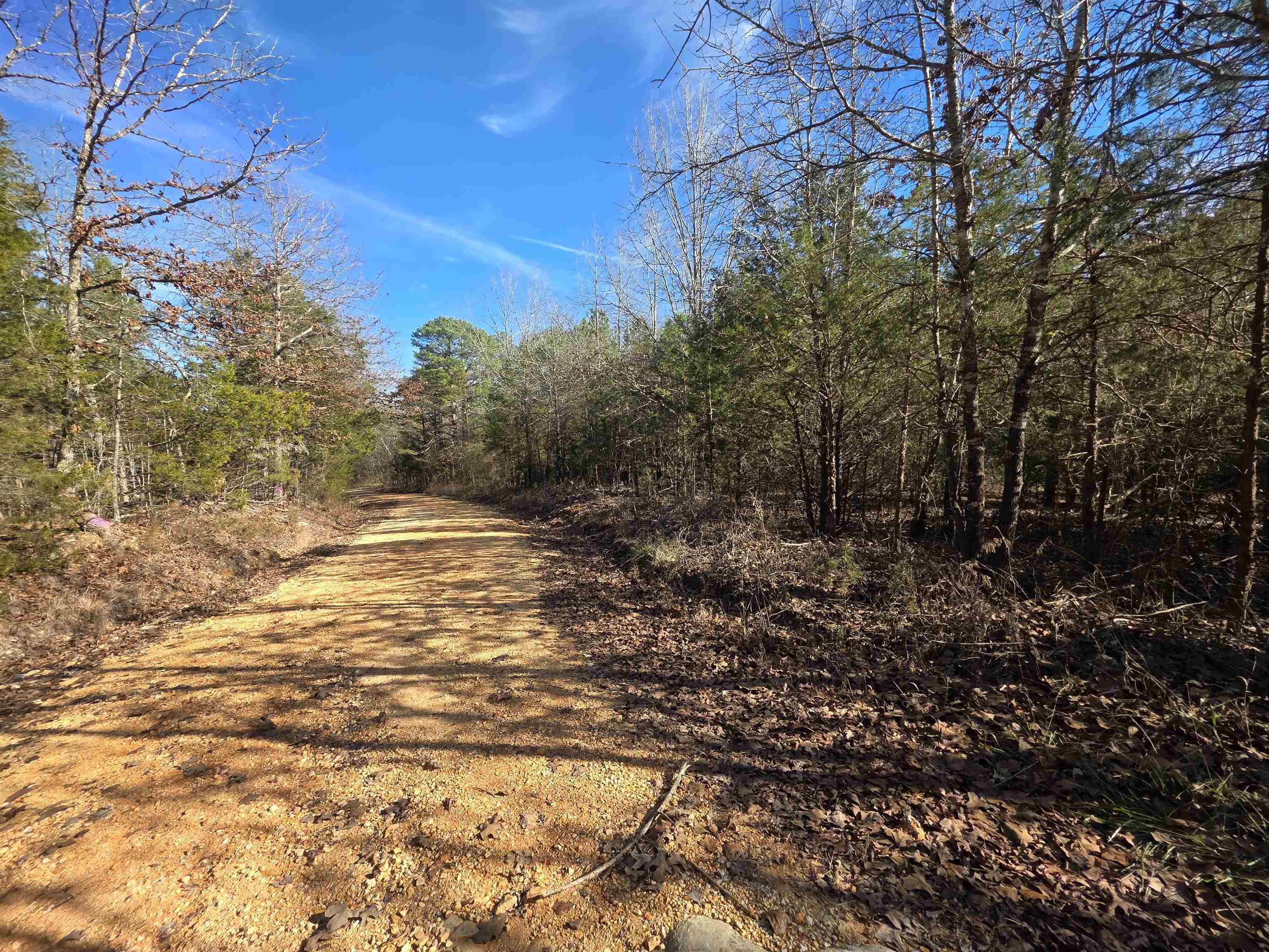 49 Meadow Brook  Sage, AR