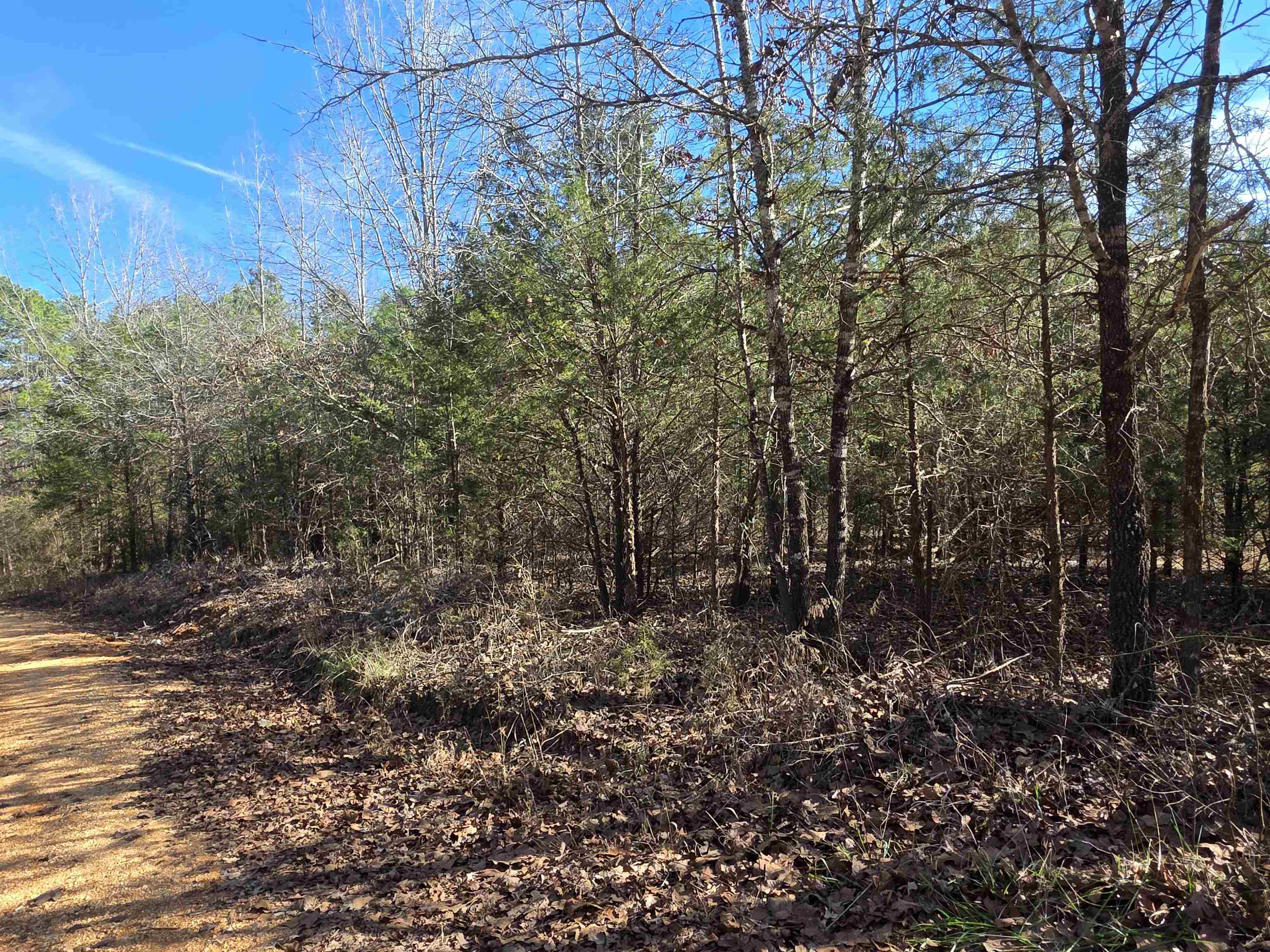 49 Meadow Brook  Sage, AR