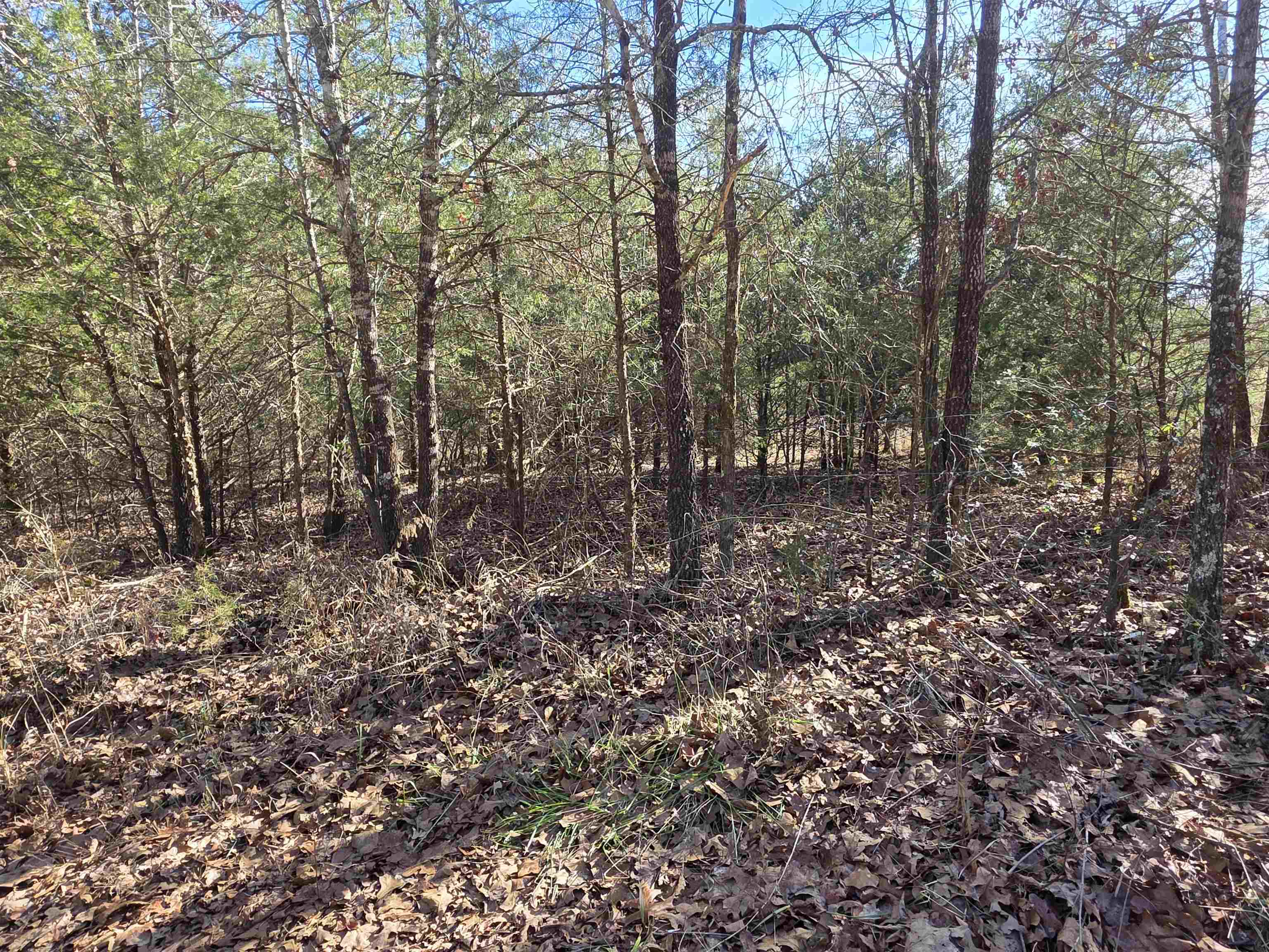 49 Meadow Brook  Sage, AR