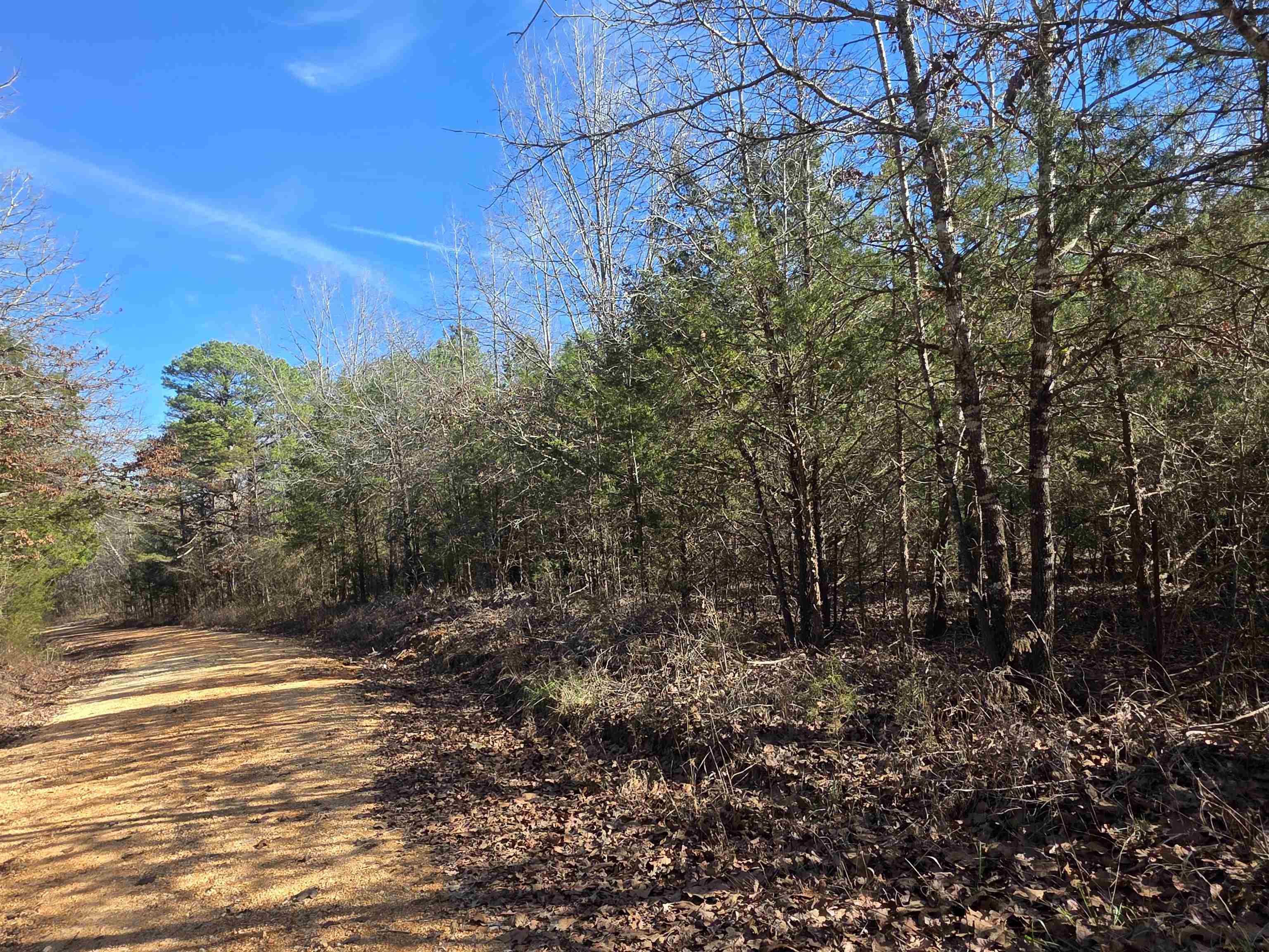 49 Meadow Brook  Sage, AR