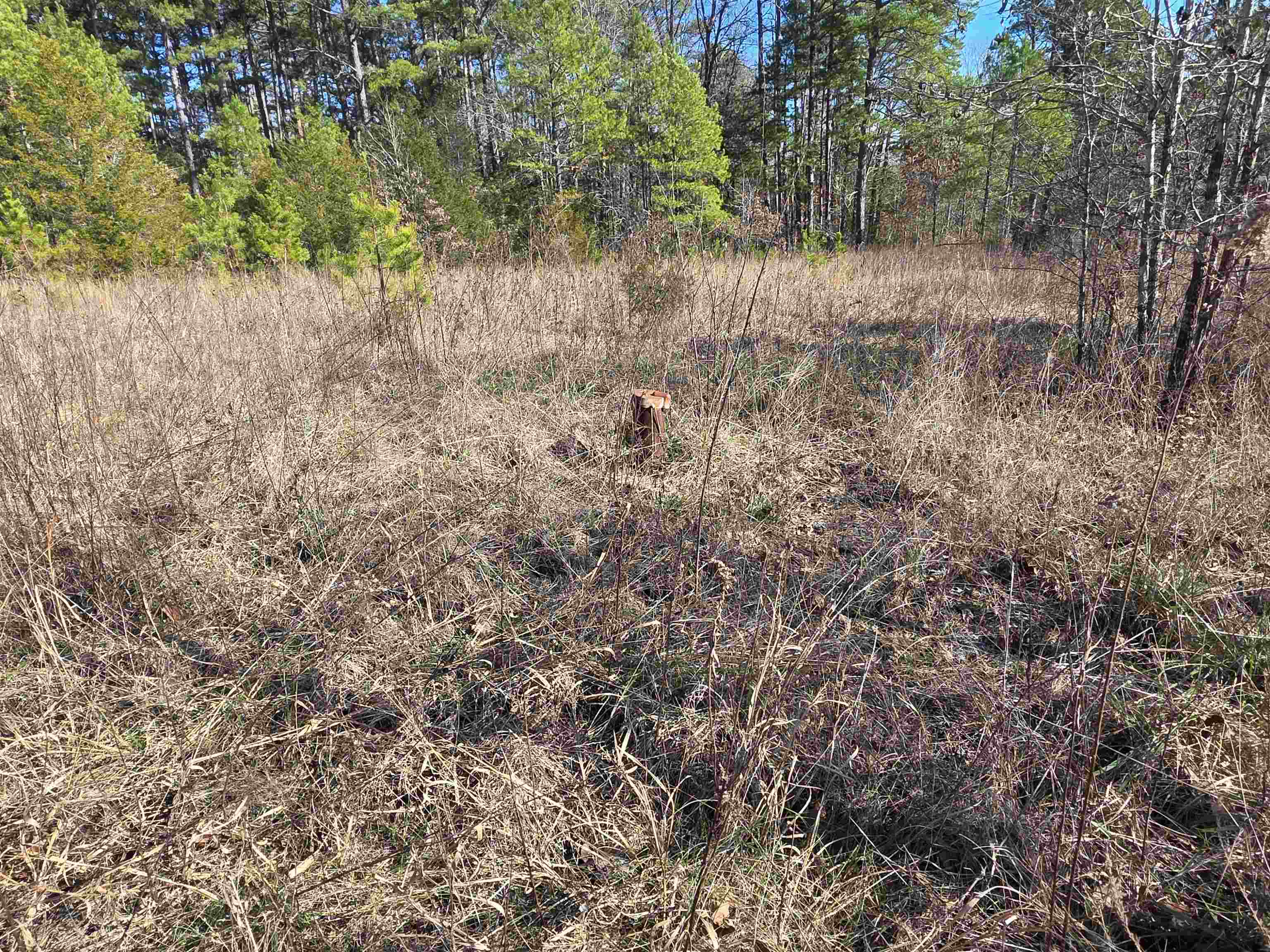 49 Meadow Brook  Sage, AR