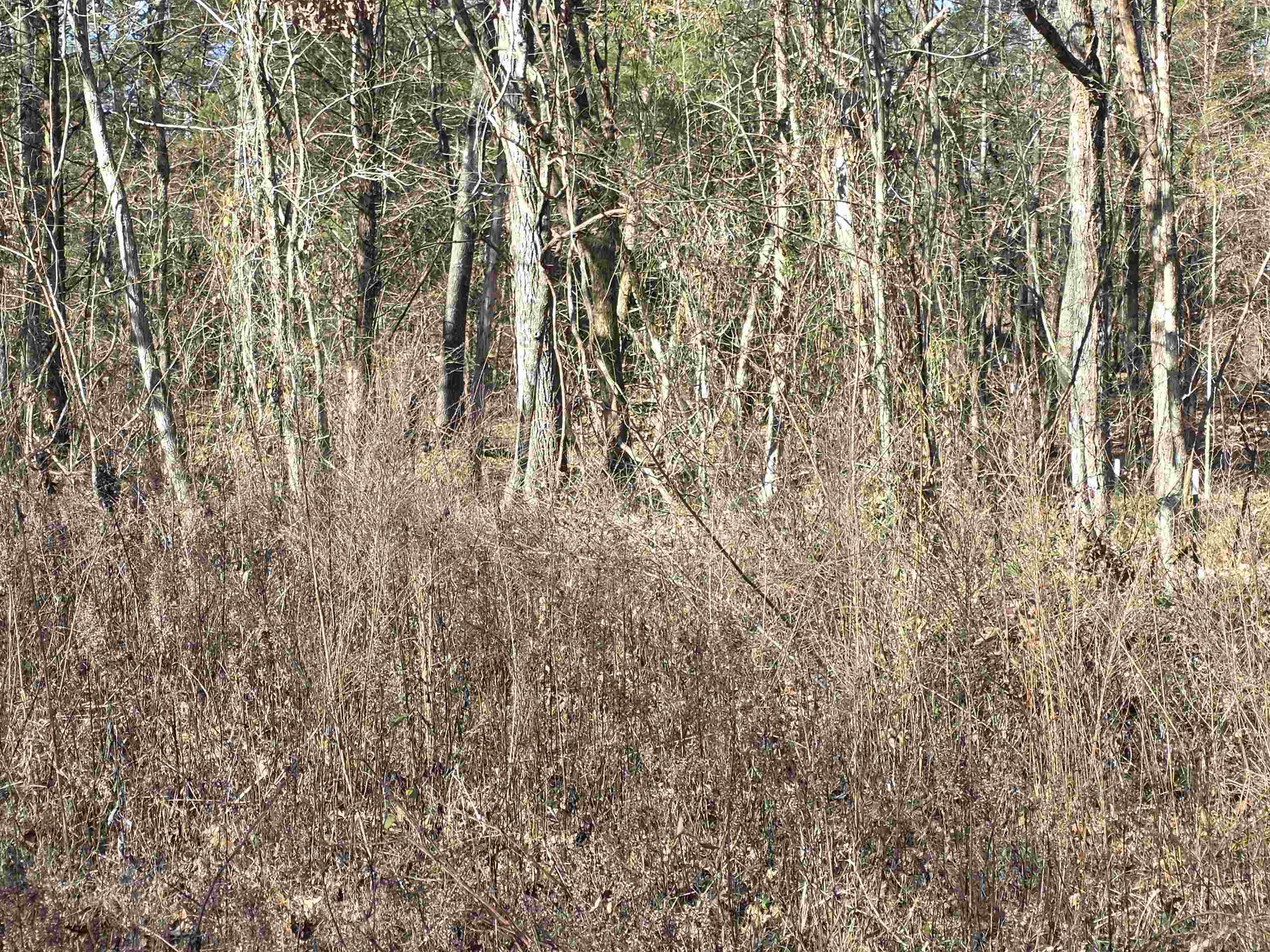 49 Meadow Brook  Sage, AR