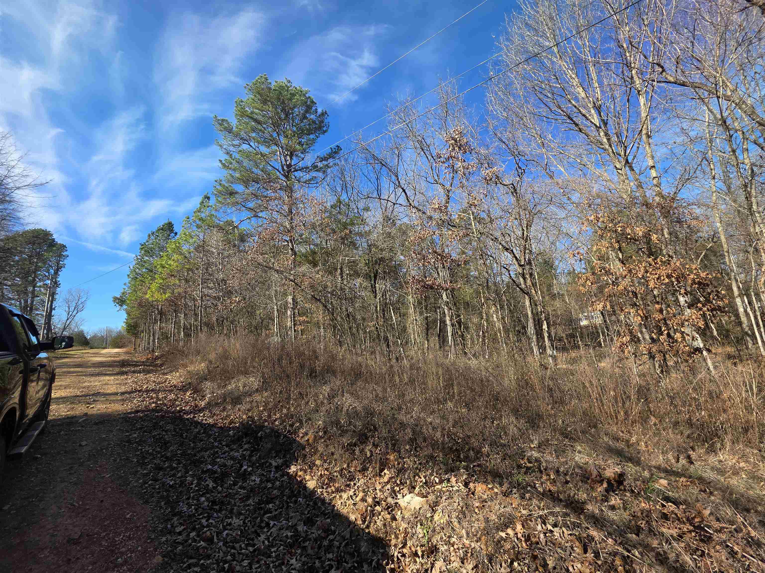 49 Meadow Brook  Sage, AR