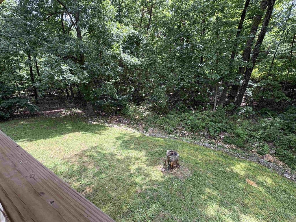 7 Odessa  Cherokee Village, AR