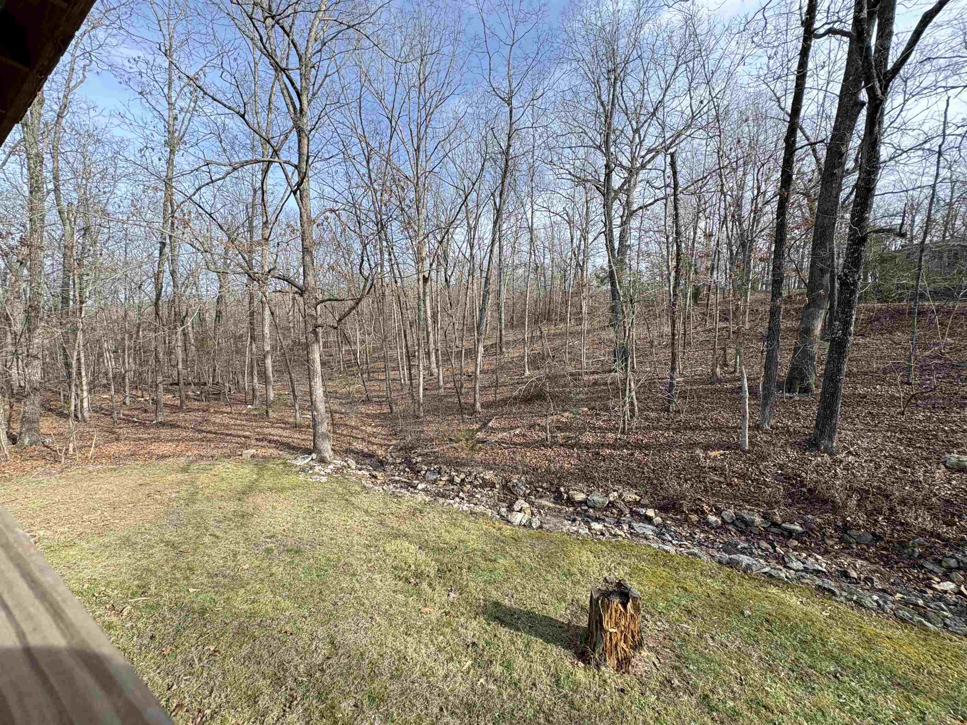 7 Odessa  Cherokee Village, AR