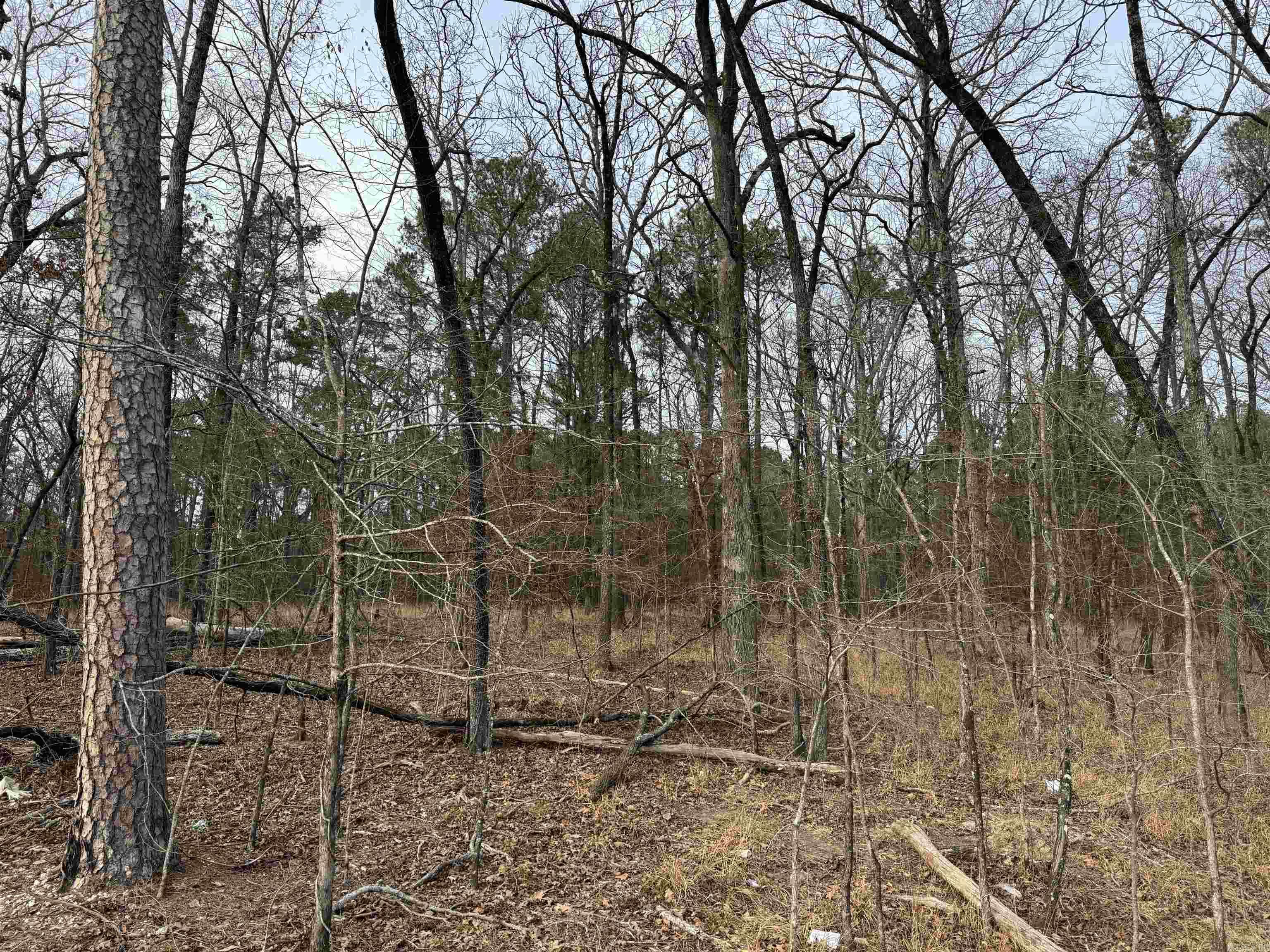 7166 Moon View  Alexander, AR