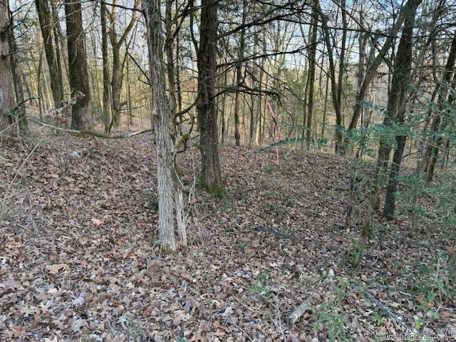 9169 Hill Rd  De Valls Bluff, AR