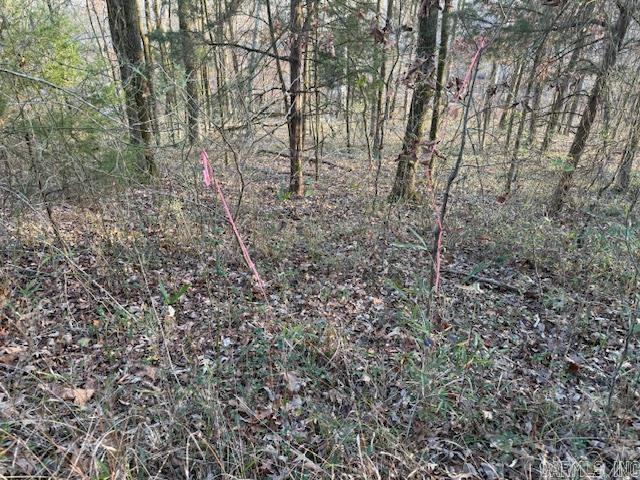 9169 Hill Rd  De Valls Bluff, AR