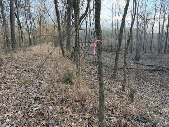 9169 Hill Rd  De Valls Bluff, AR