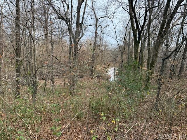 9169 Hill Rd  De Valls Bluff, AR