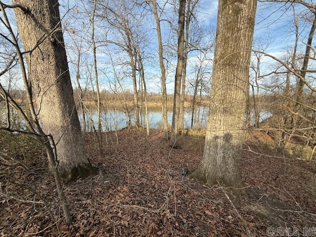 9169 Hill Rd  De Valls Bluff, AR