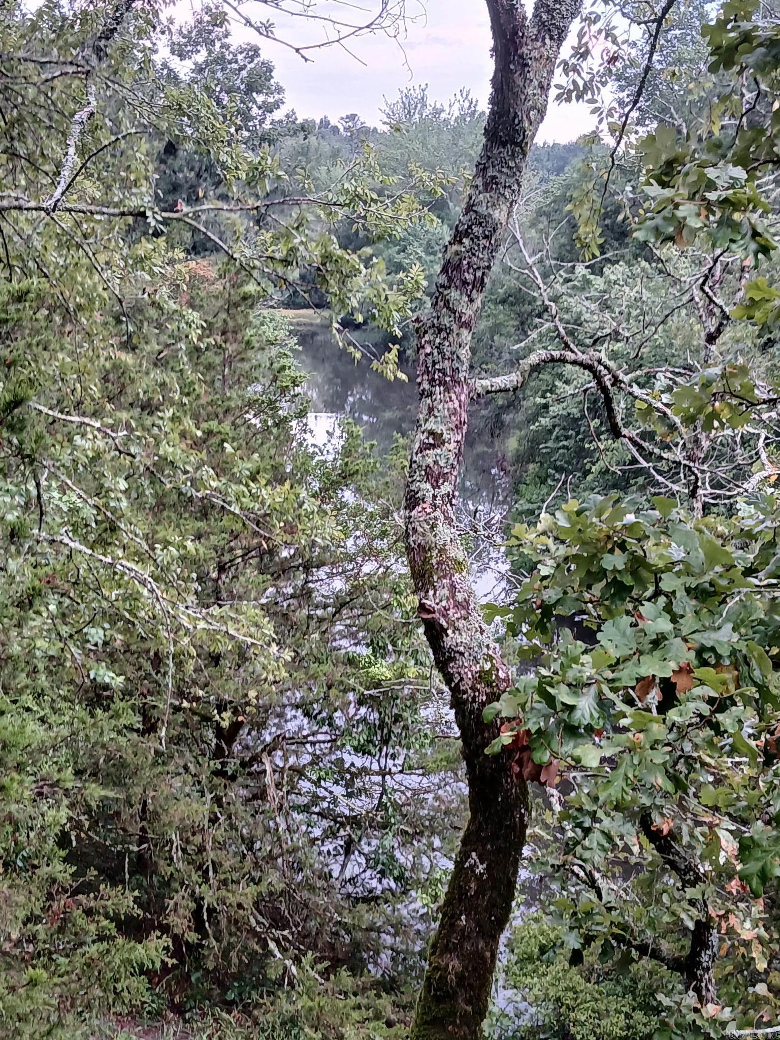 UNK POLK ROAD 74  Mena, AR