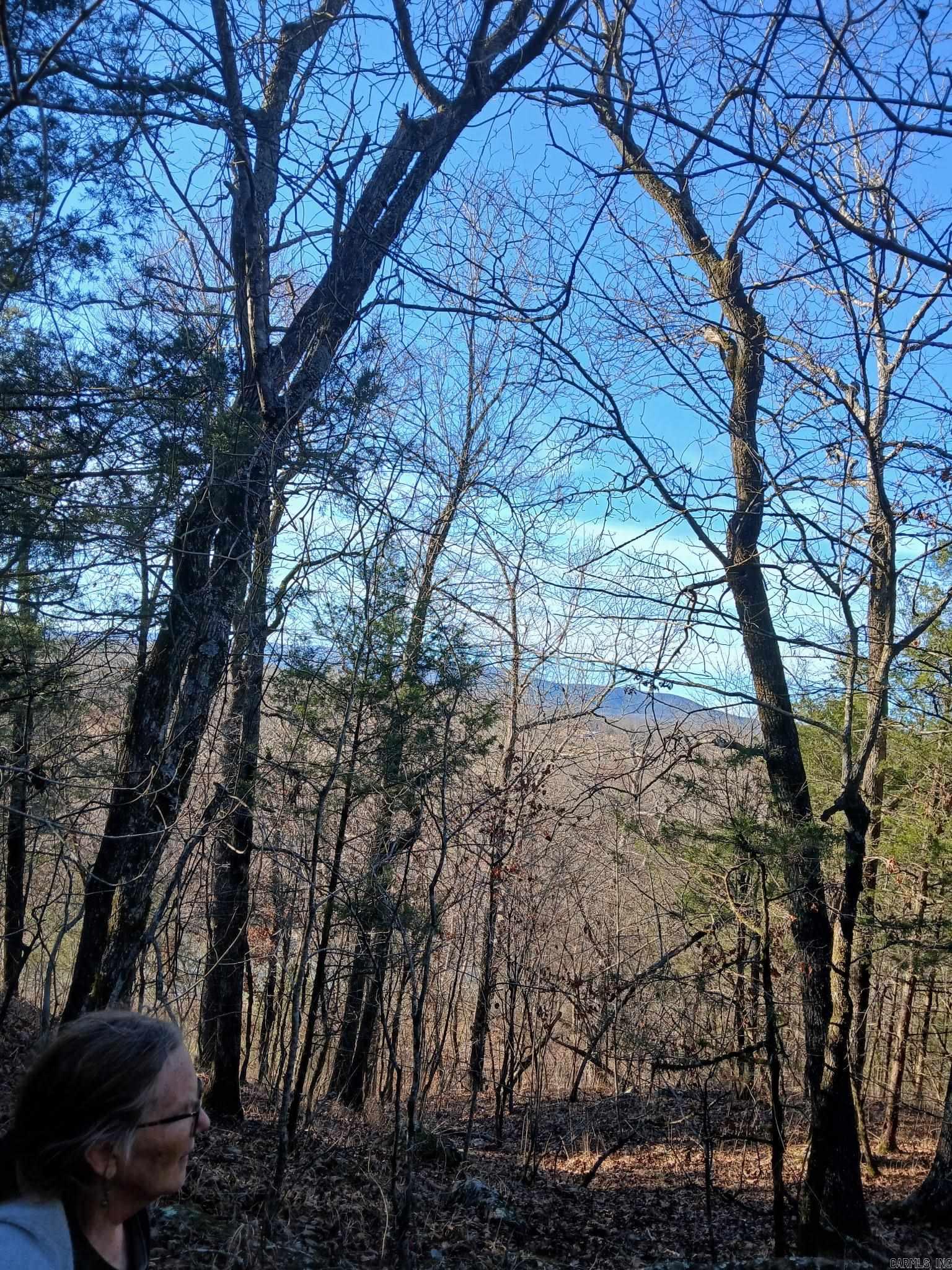 TBD Polk Road 74  Mena, AR