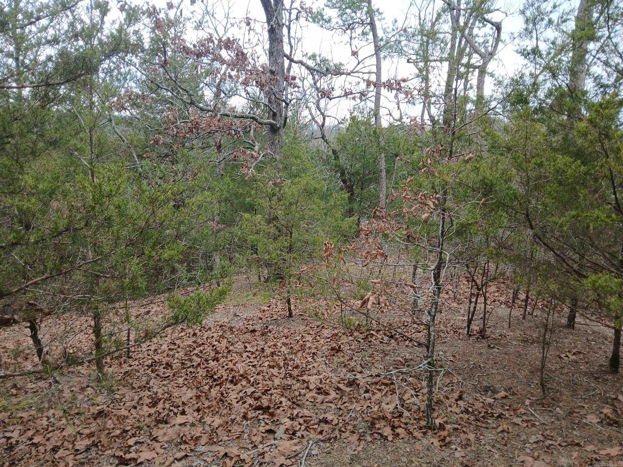 TBD Polk Road 74  Mena, AR