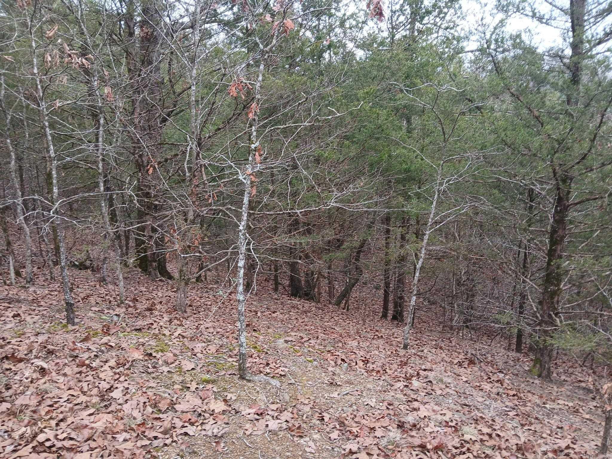 TBD Polk Road 74  Mena, AR