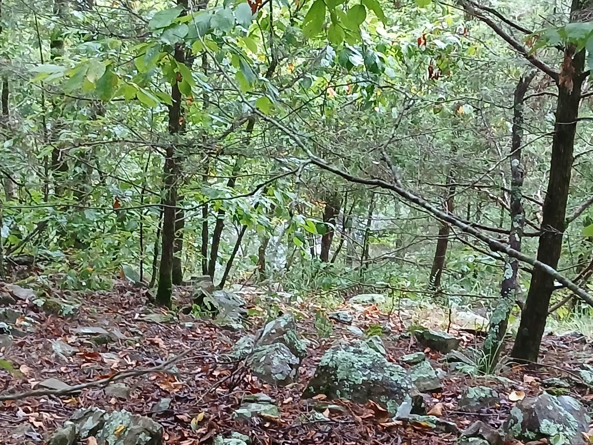 TBD Polk Road 74  Mena, AR