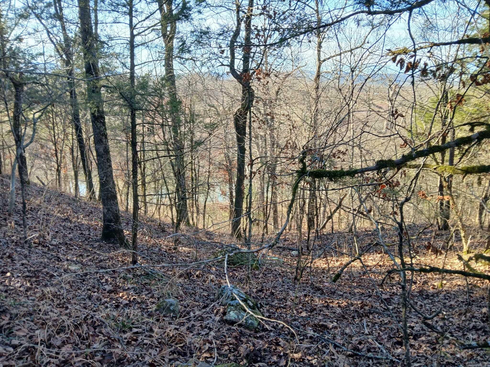 TBD Polk Road 74  Mena, AR