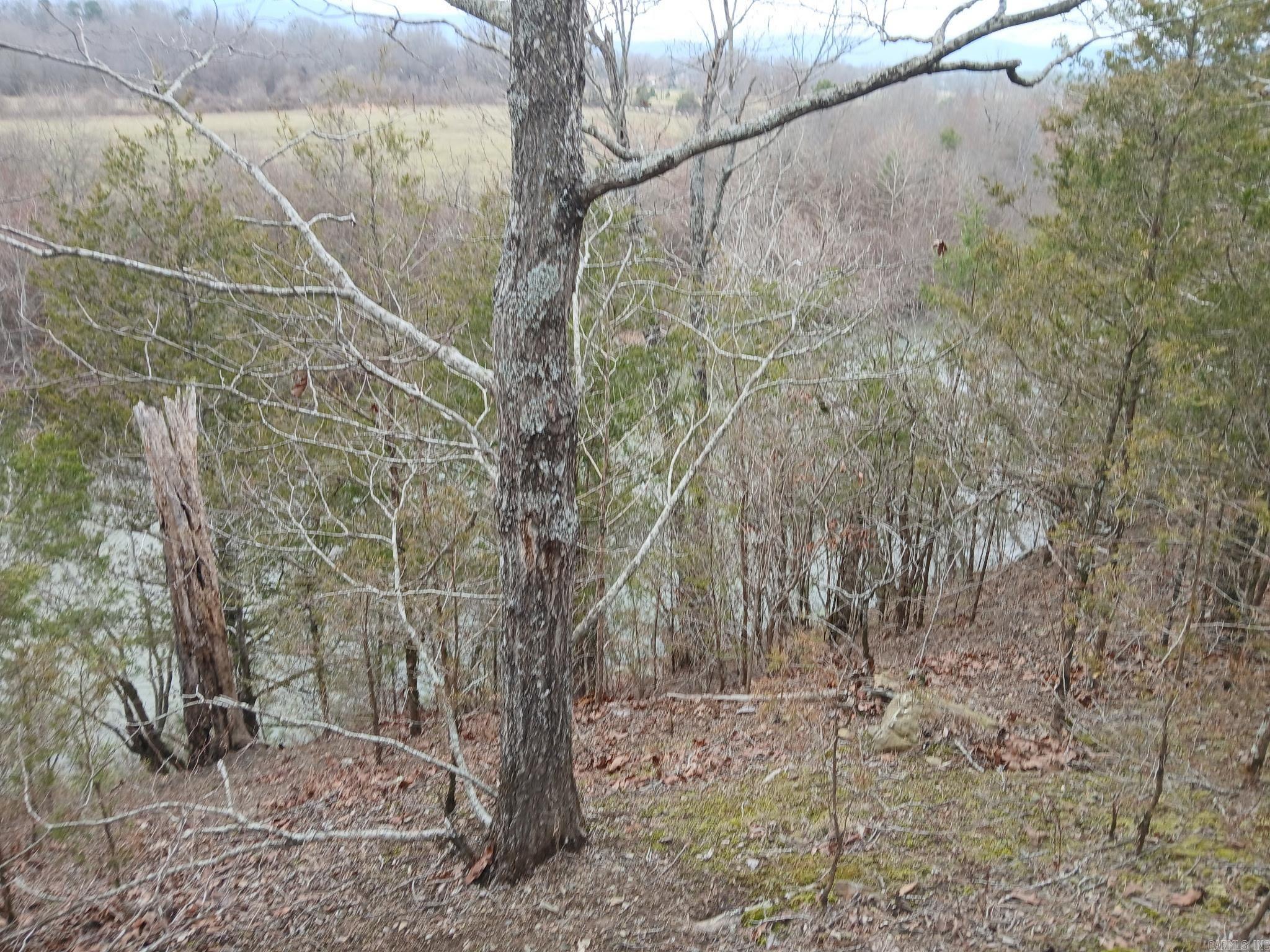 TBD Polk Road 74  Mena, AR