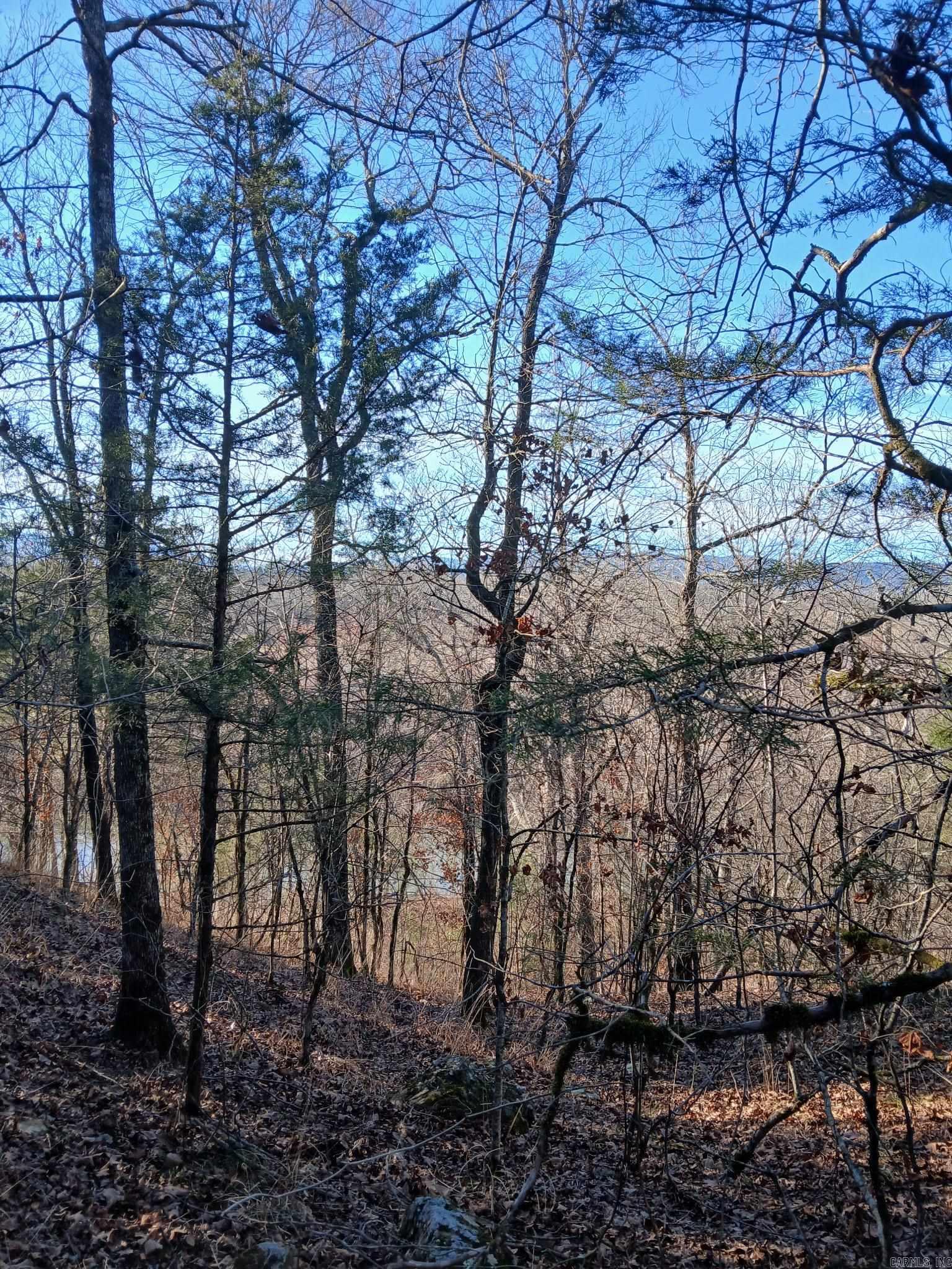 TBD Polk Road 74  Mena, AR
