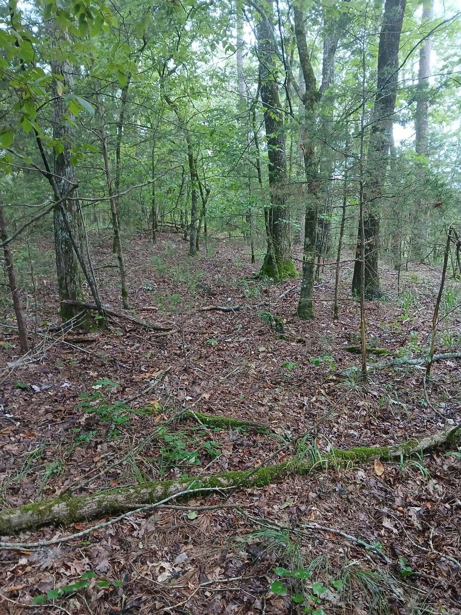 TBD Polk Road 74  Mena, AR