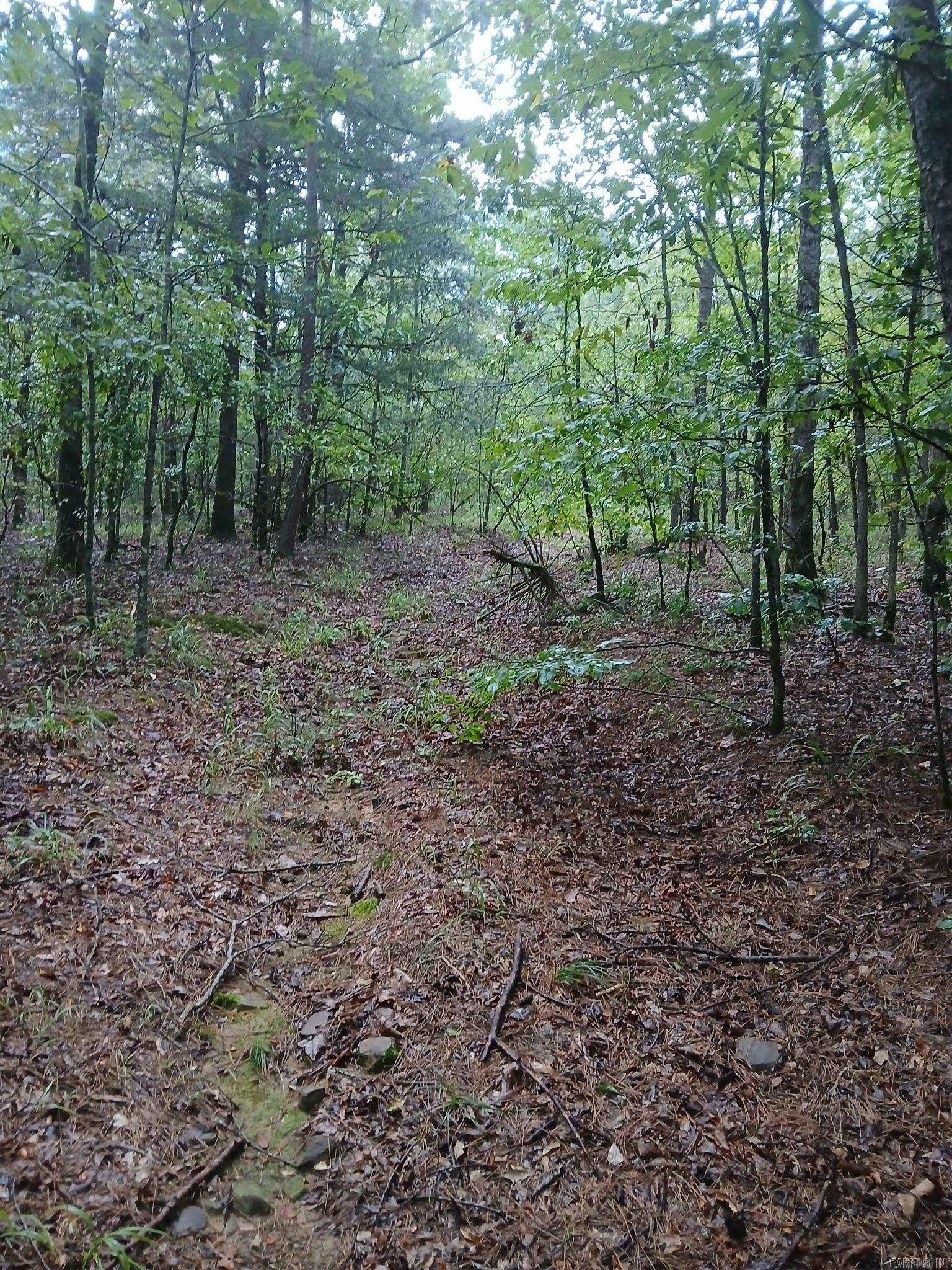 UNK POLK ROAD 74  Mena, AR