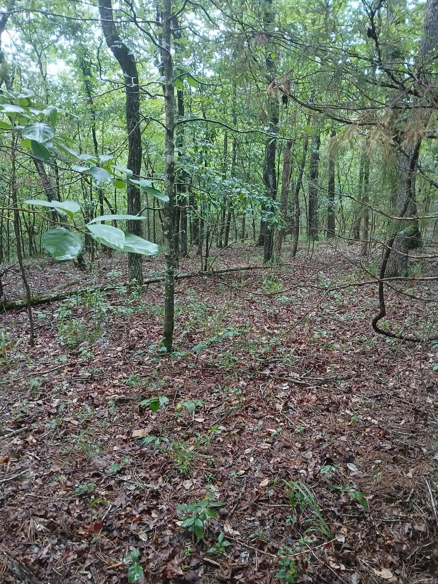 TBD Polk Road 74  Mena, AR