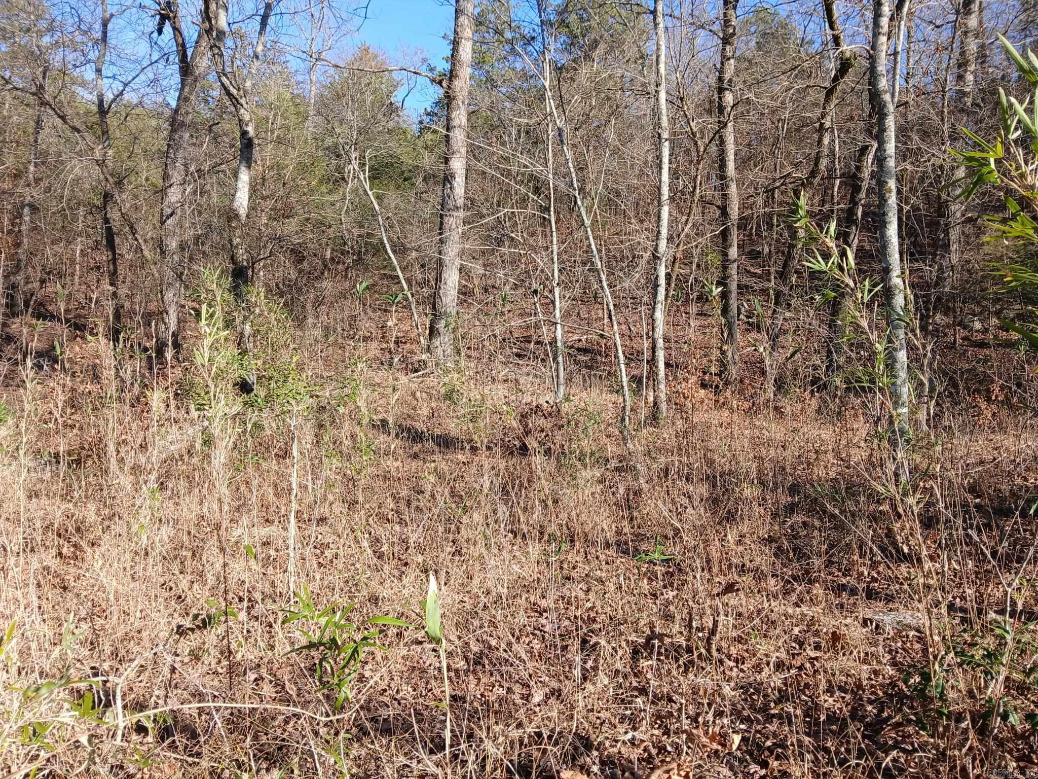 TBD Polk Road 74  Mena, AR