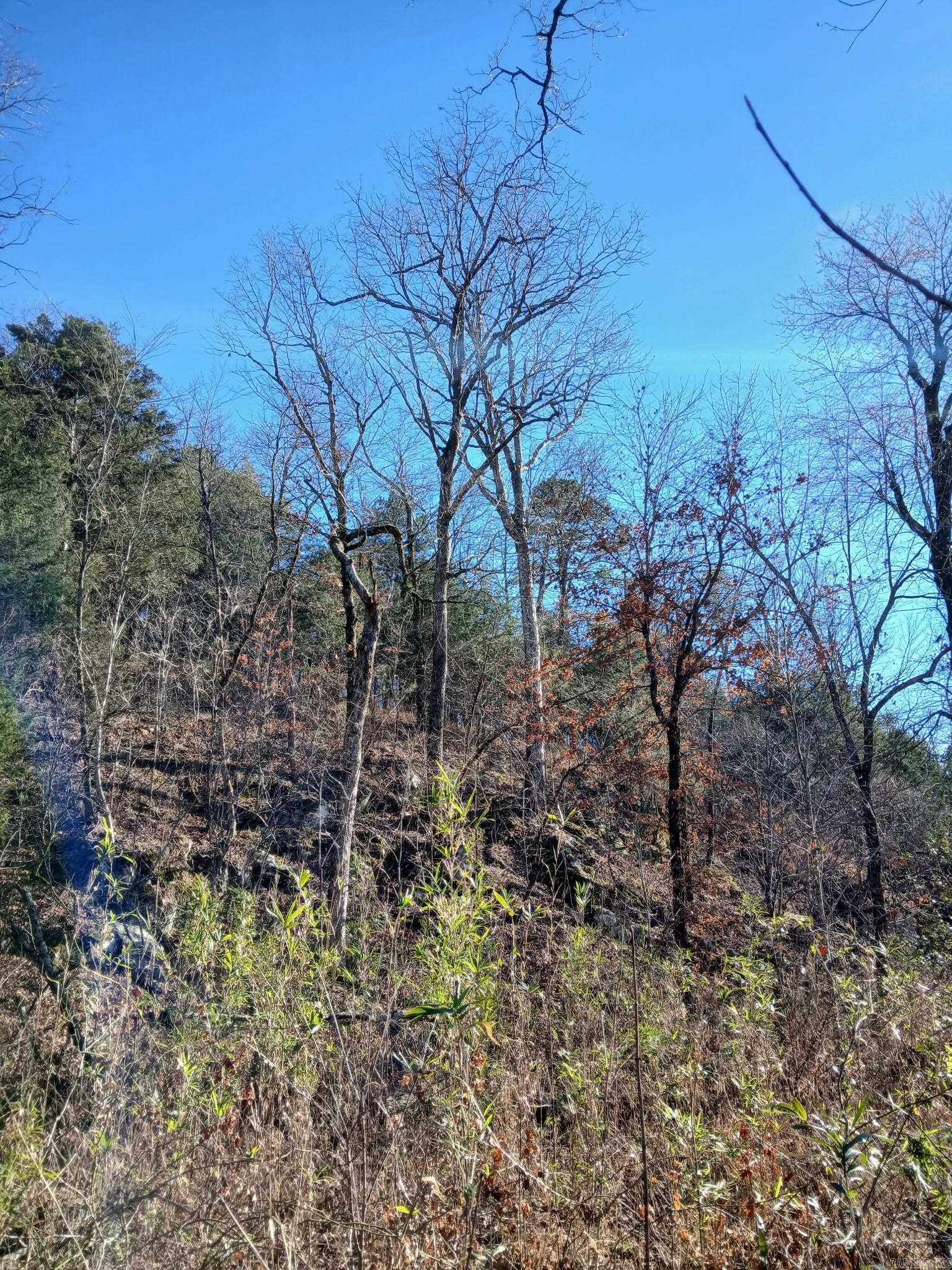 TBD Polk Road 74  Mena, AR