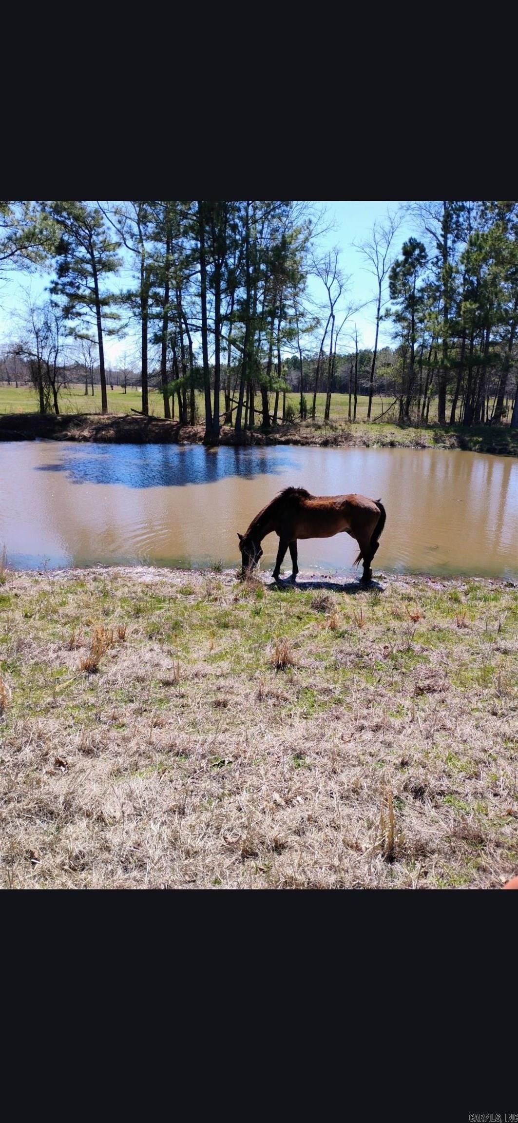 5665 N Hwy 53  Arkadelphia, AR