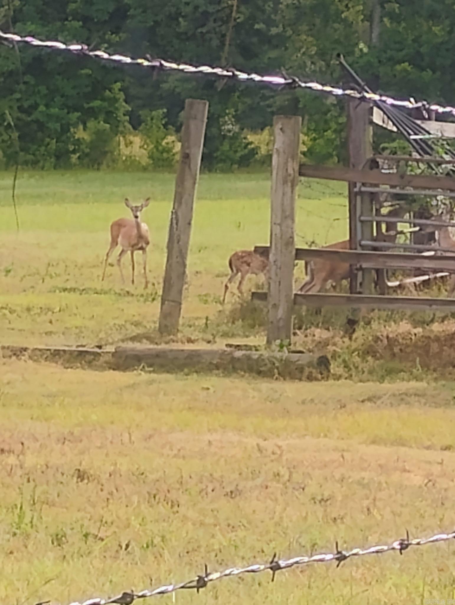 5665 N Hwy 53  Arkadelphia, AR