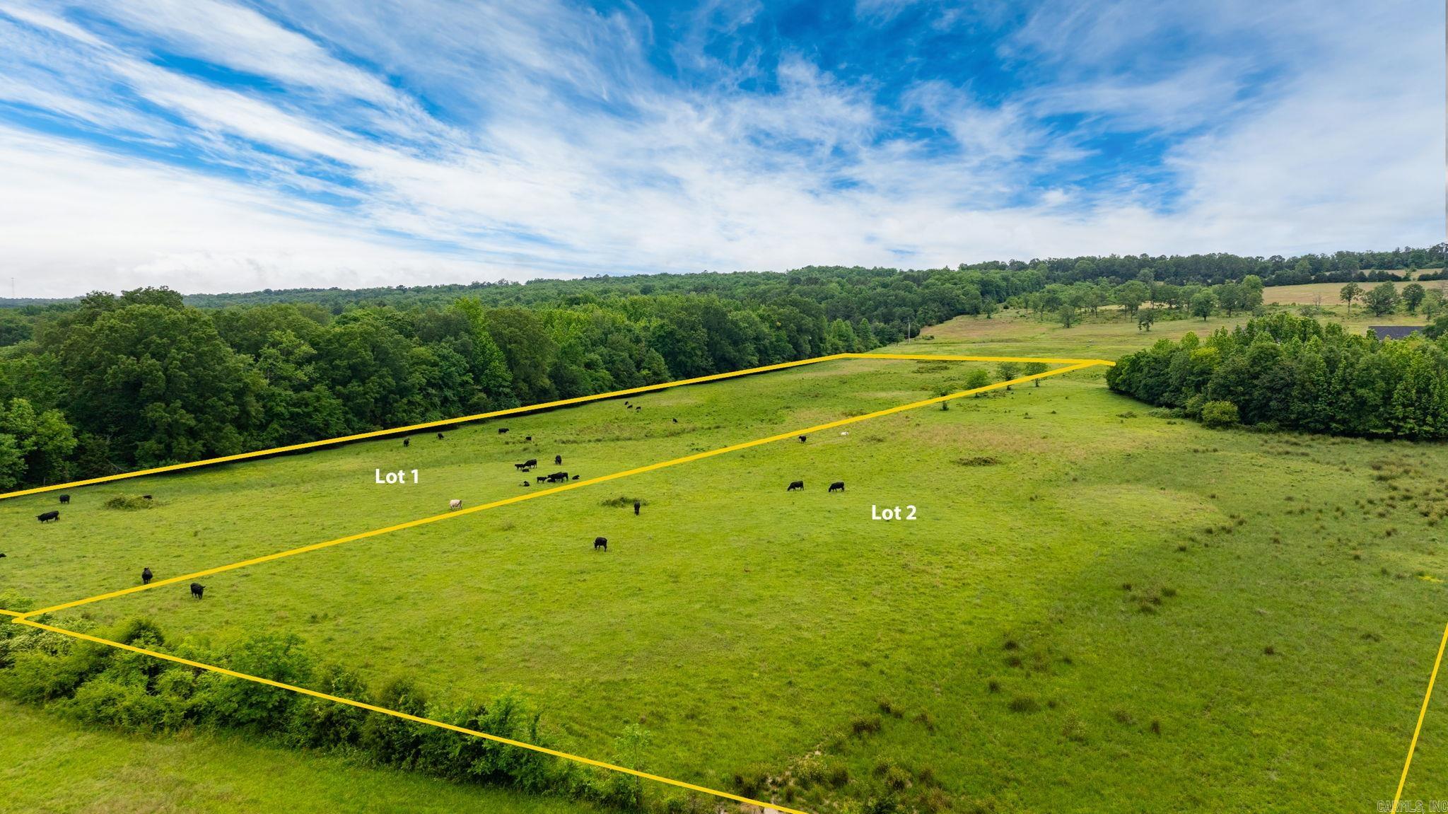 Tract 1 Castleberry  Greenbrier, AR