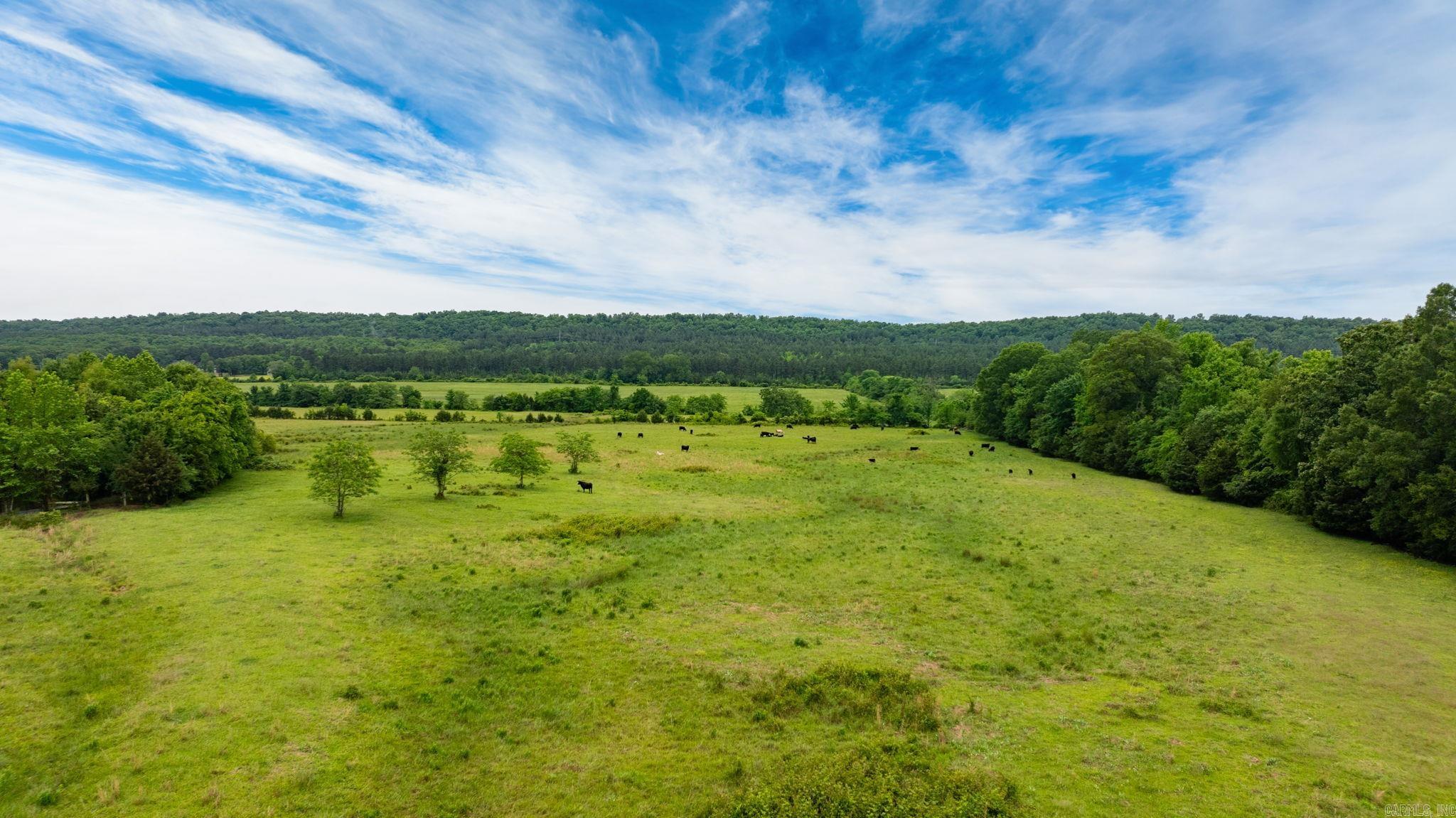 Tract 1 Castleberry  Greenbrier, AR