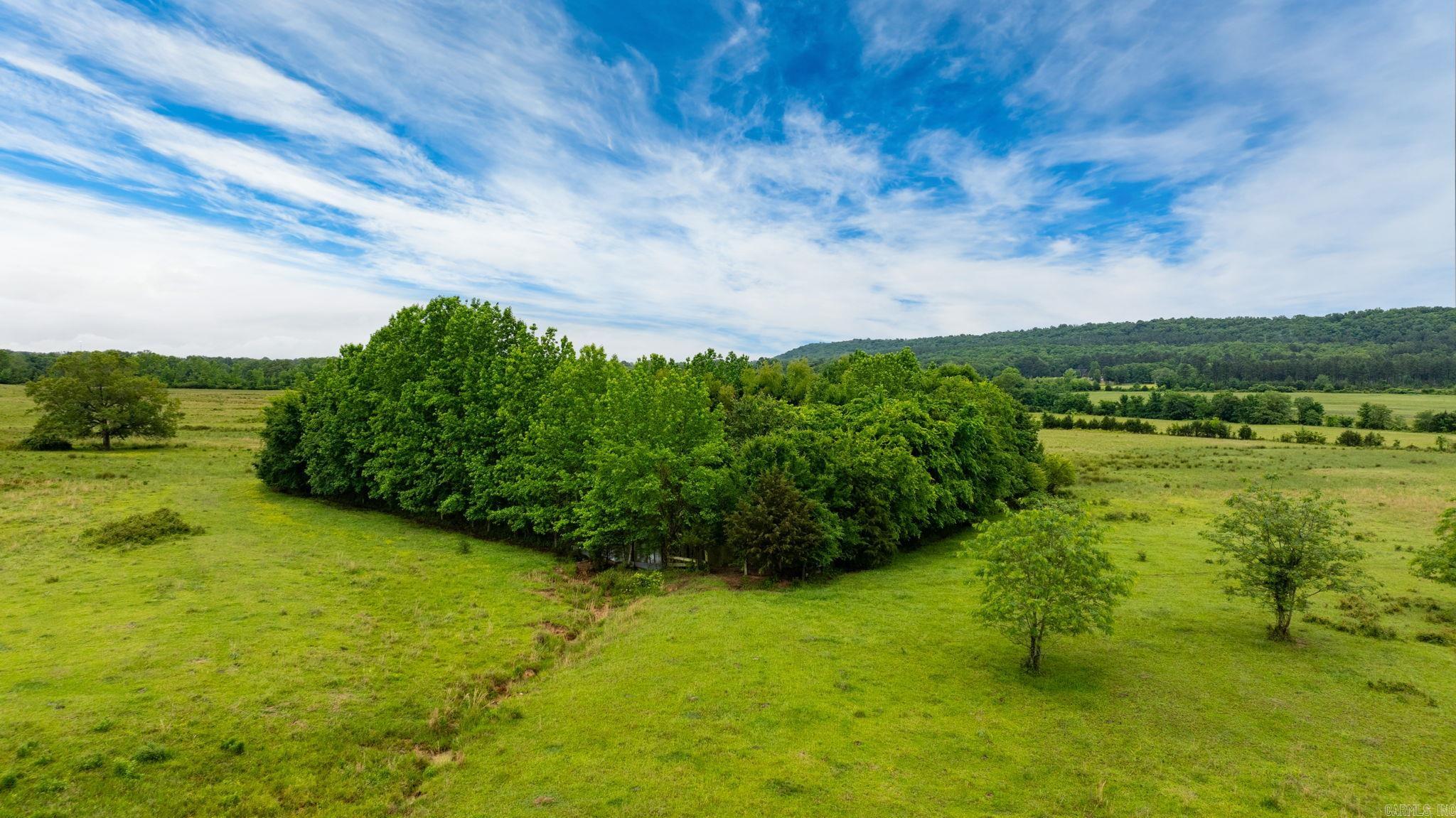 Tract 1 Castleberry  Greenbrier, AR