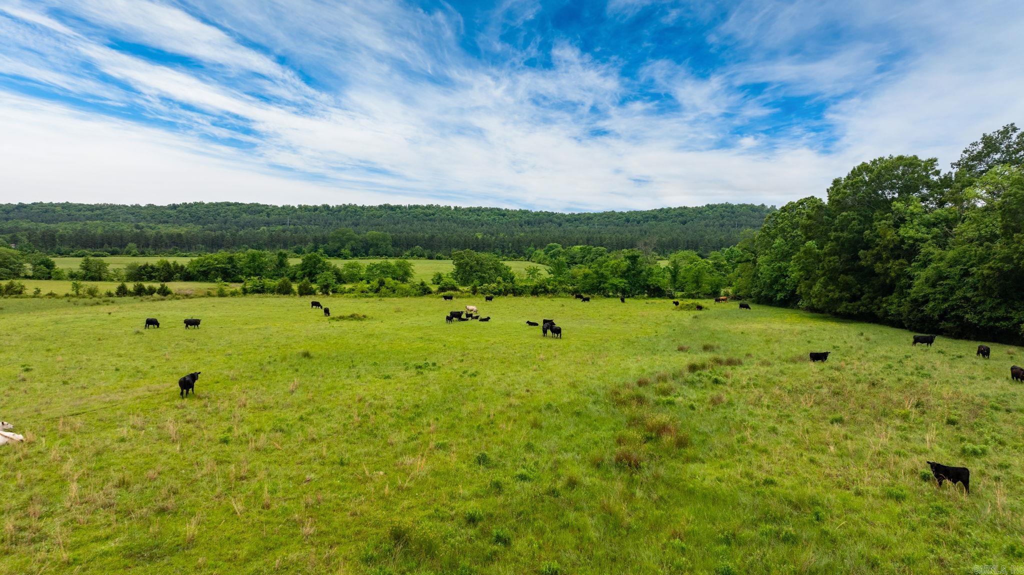 Tract 1 Castleberry  Greenbrier, AR