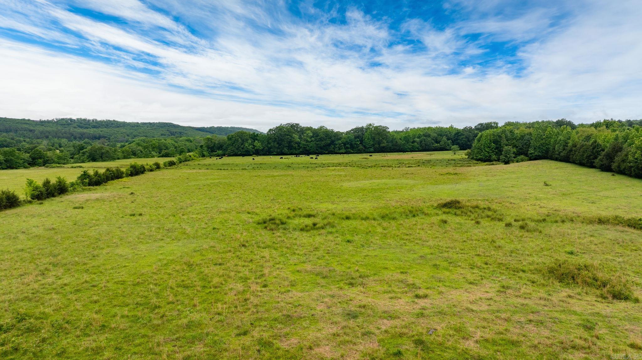 Tract 2 Castleberry  Greenbrier, AR