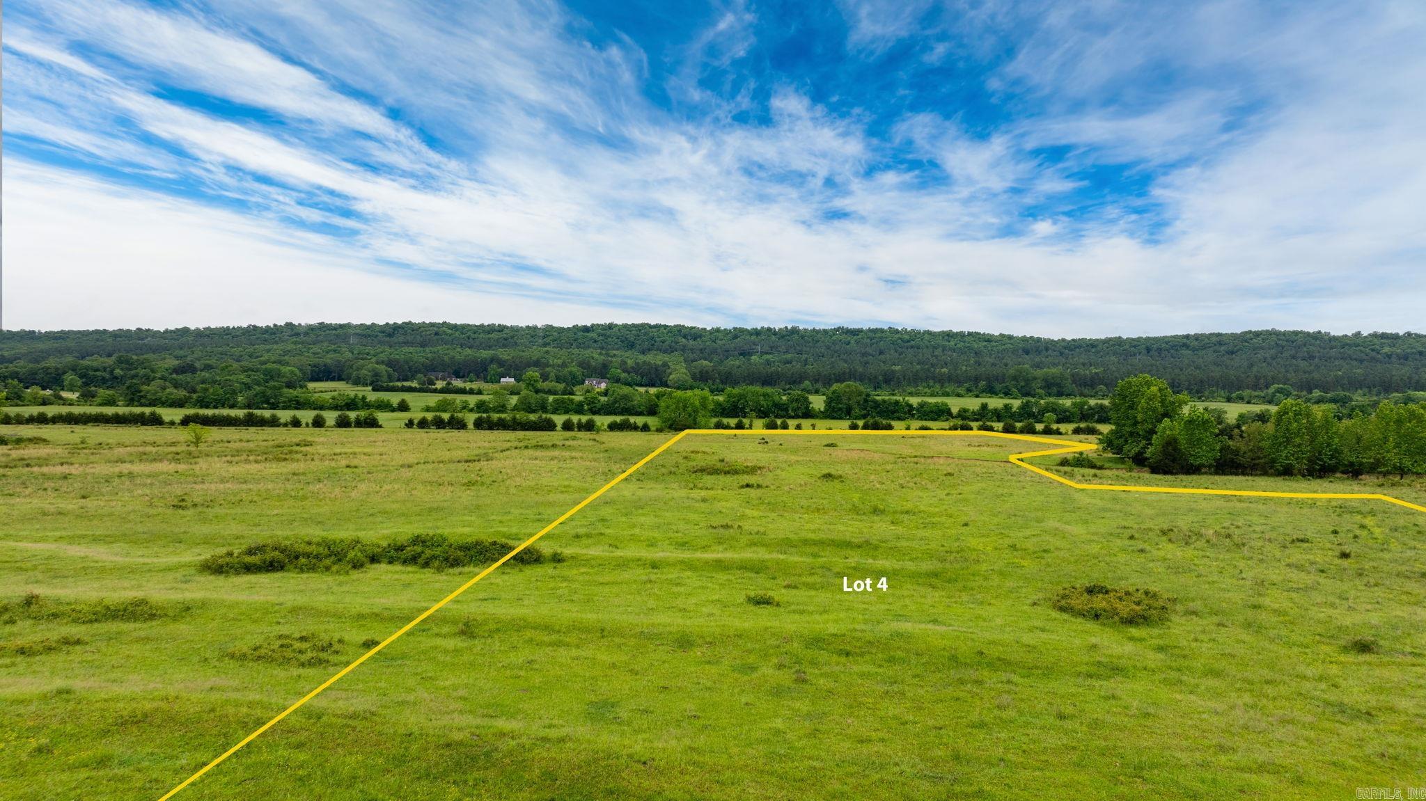 Tract 4 Castleberry  Greenbrier, AR