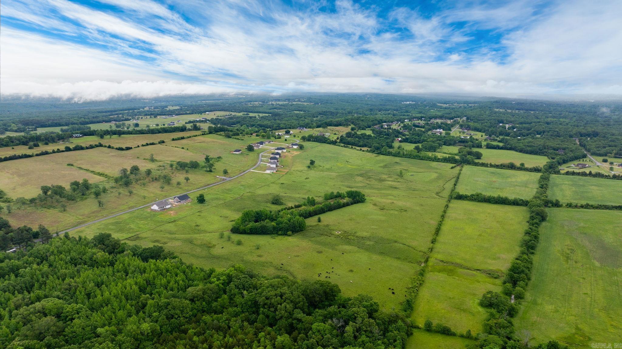 Tract 5 Castleberry  Greenbrier, AR