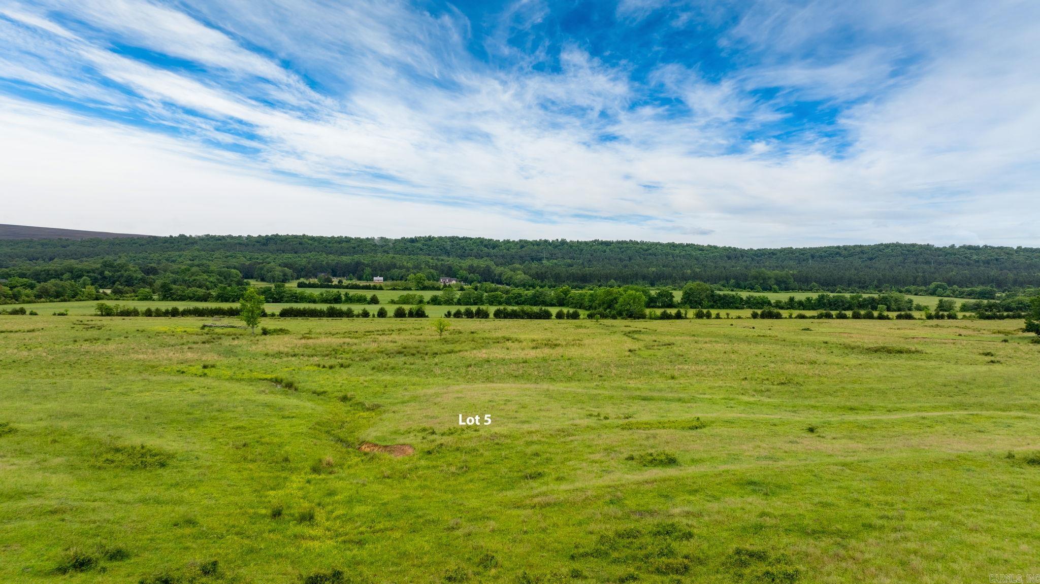 Tract 5 Castleberry  Greenbrier, AR