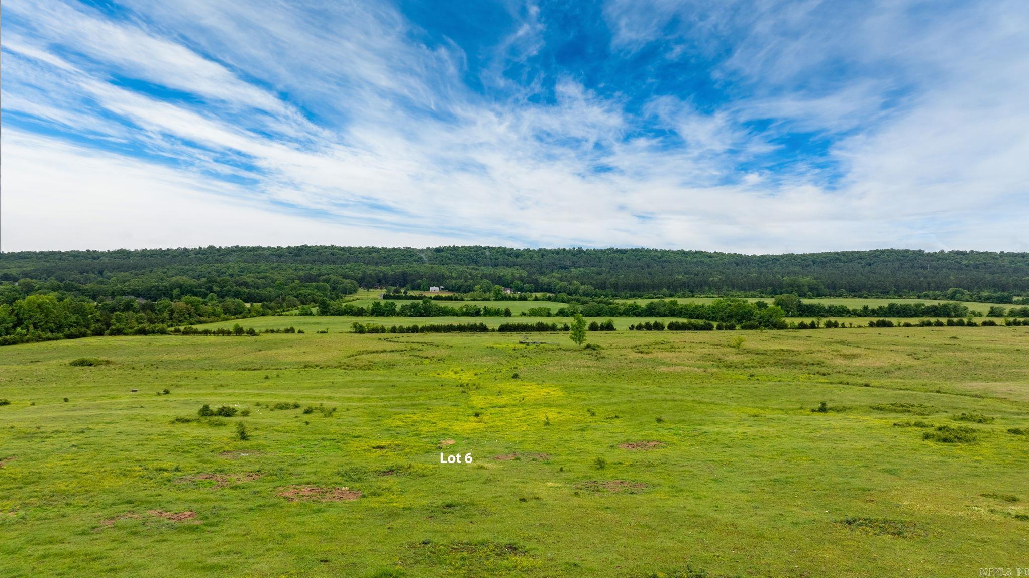 Tract 6 Castleberry  Greenbrier, AR