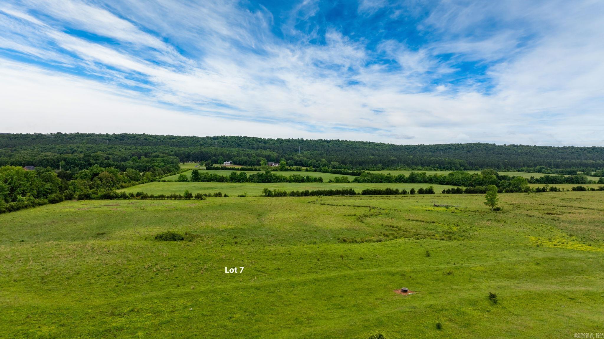 Tract 7 Castleberry  Greenbrier, AR