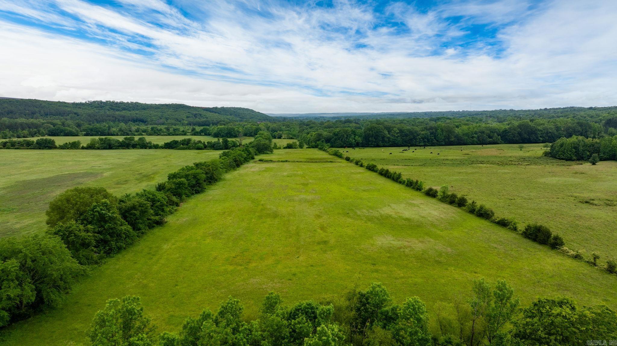 Tract 8 Castleberry  Greenbrier, AR