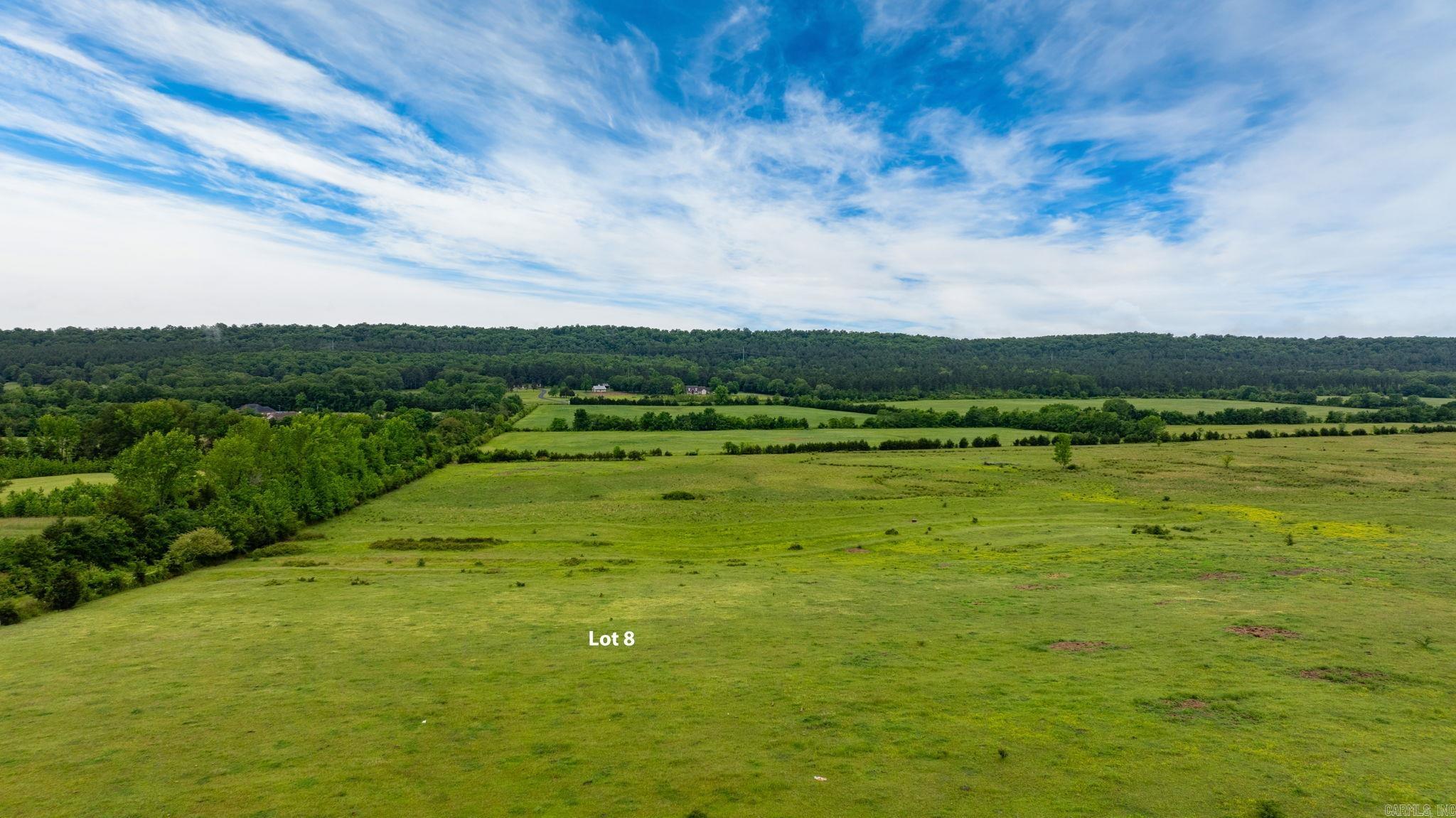 Tract 8 Castleberry  Greenbrier, AR