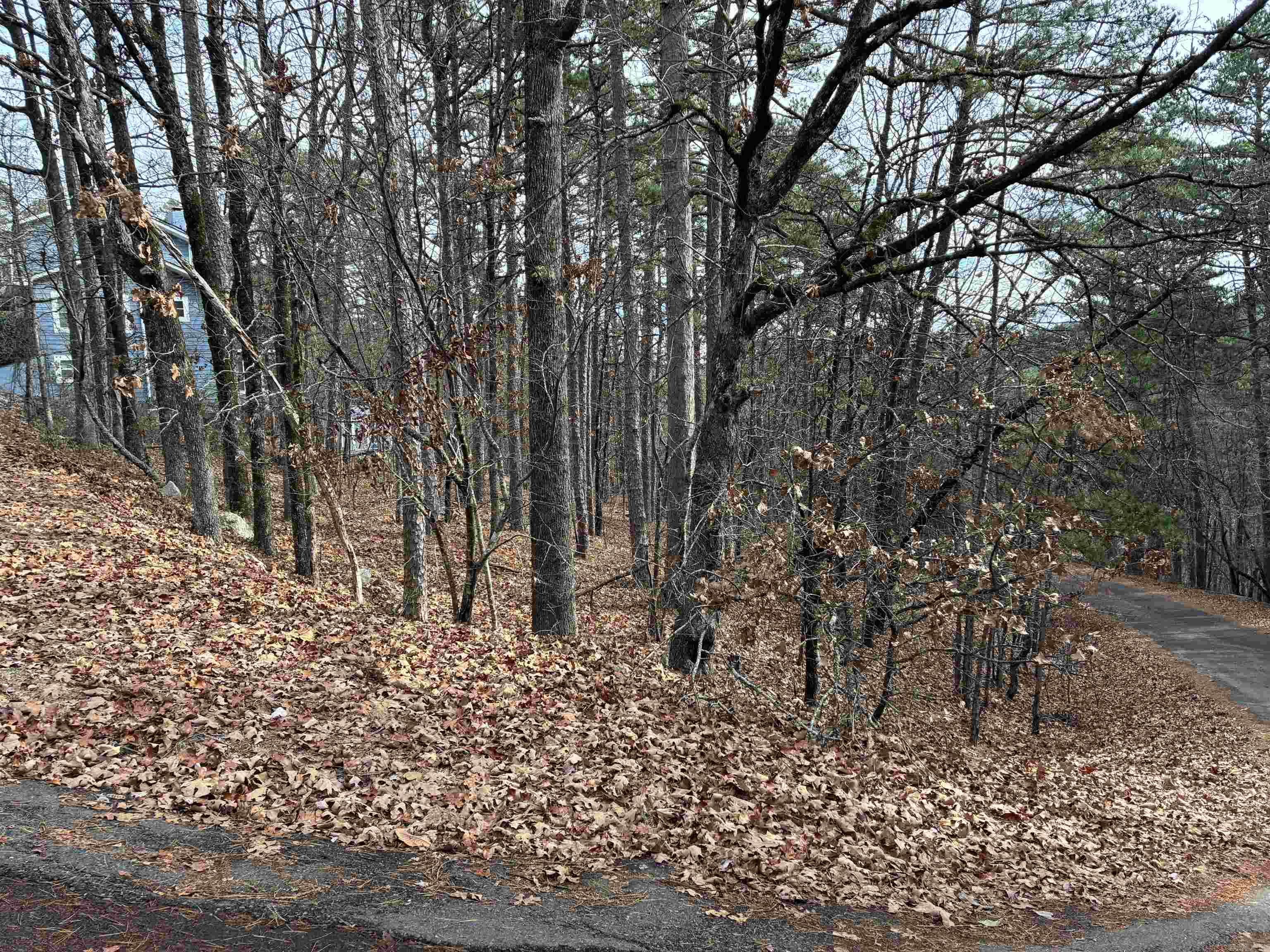 Lot 59 Almeria Way  Hot Springs Village, AR