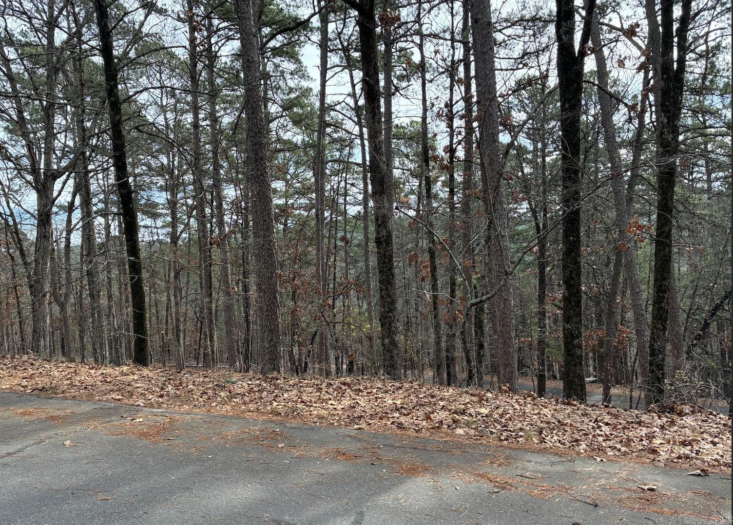 Lot 59 Almeria Way  Hot Springs Village, AR