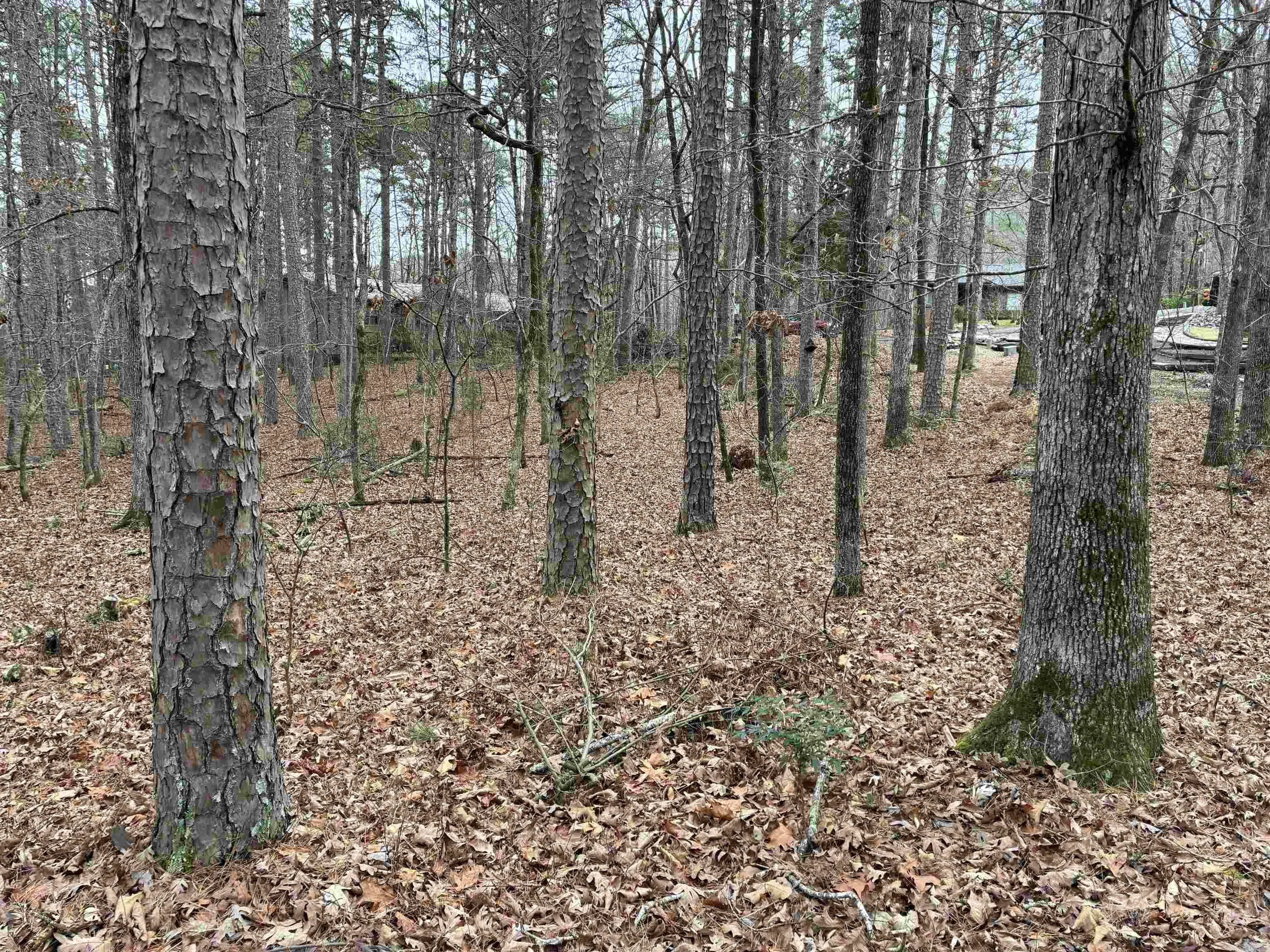 Lot 9 Silleda Ln  Hot Springs Village, AR