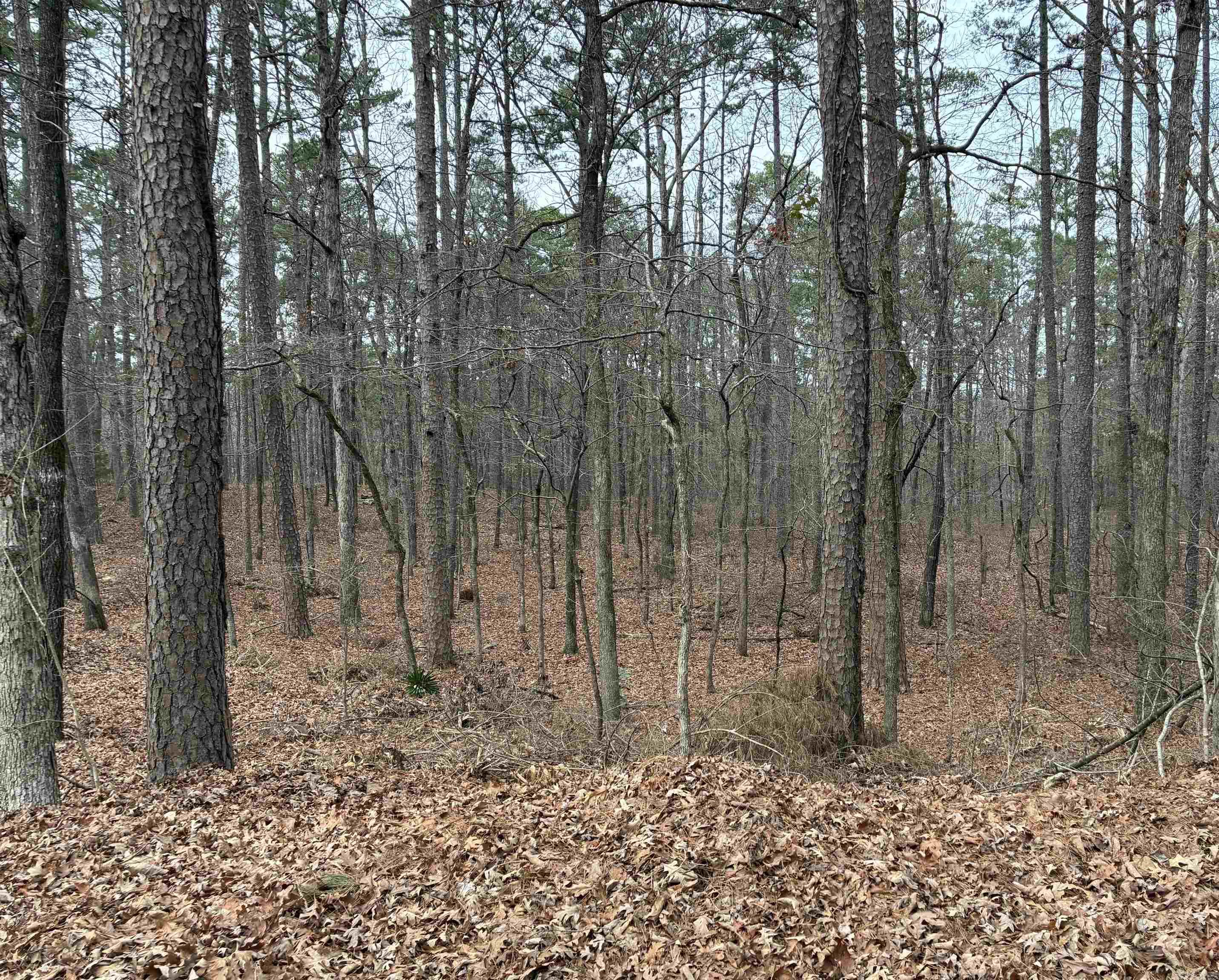 Lot 9 Silleda Ln  Hot Springs Village, AR