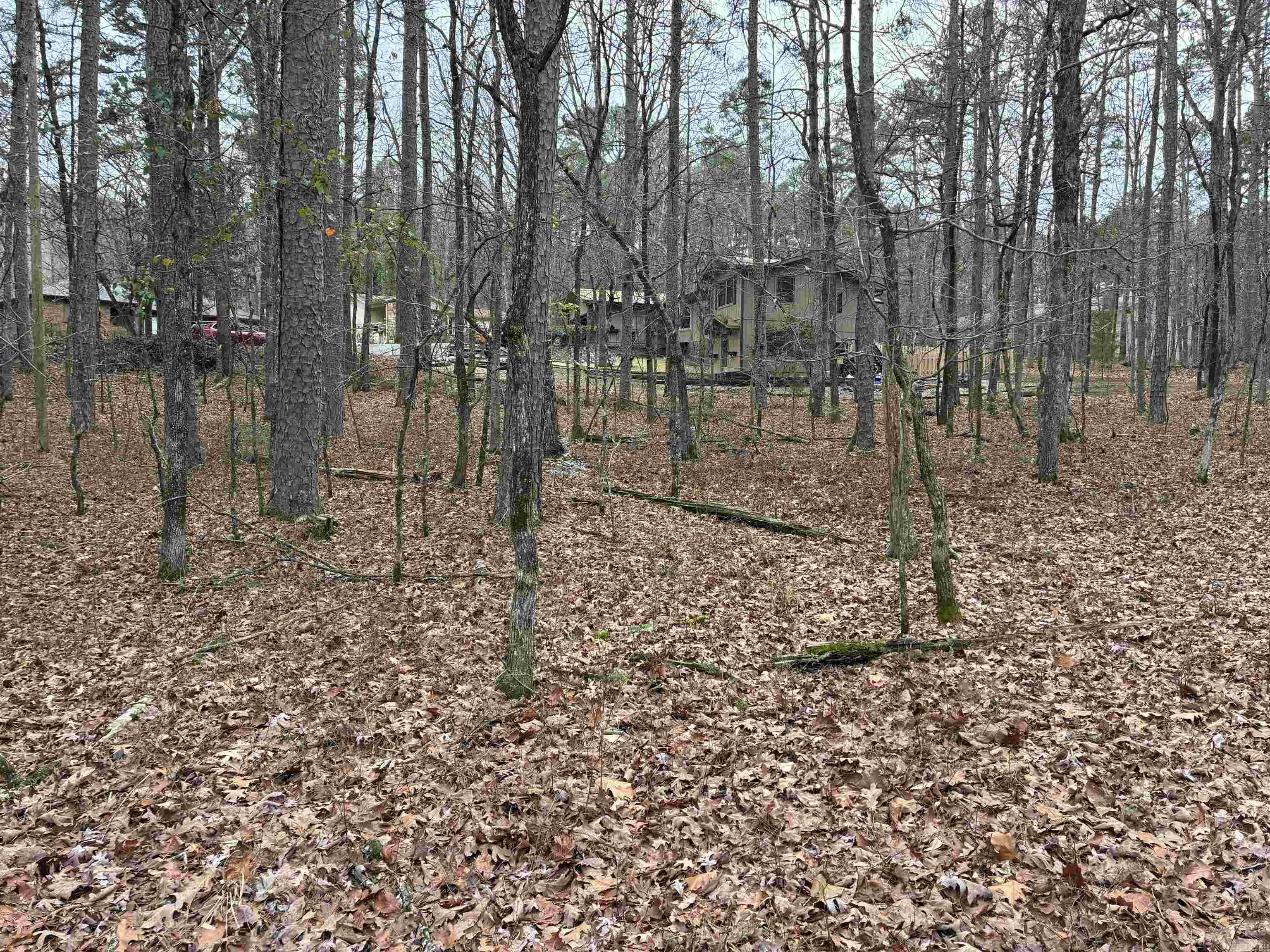 Lot 9 Silleda Ln  Hot Springs Village, AR