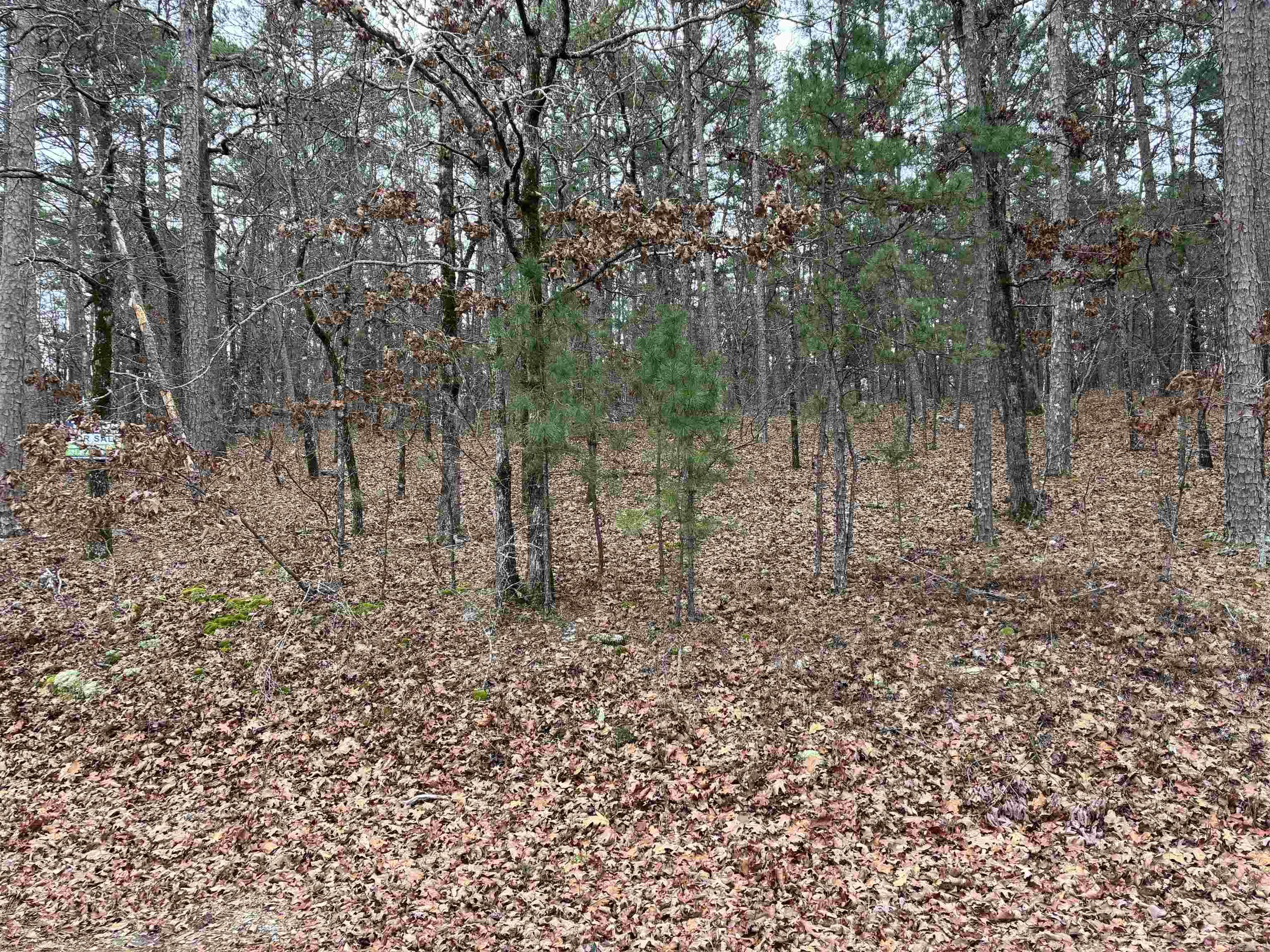Lot 1 Fineza Way  Hot Springs Village, AR