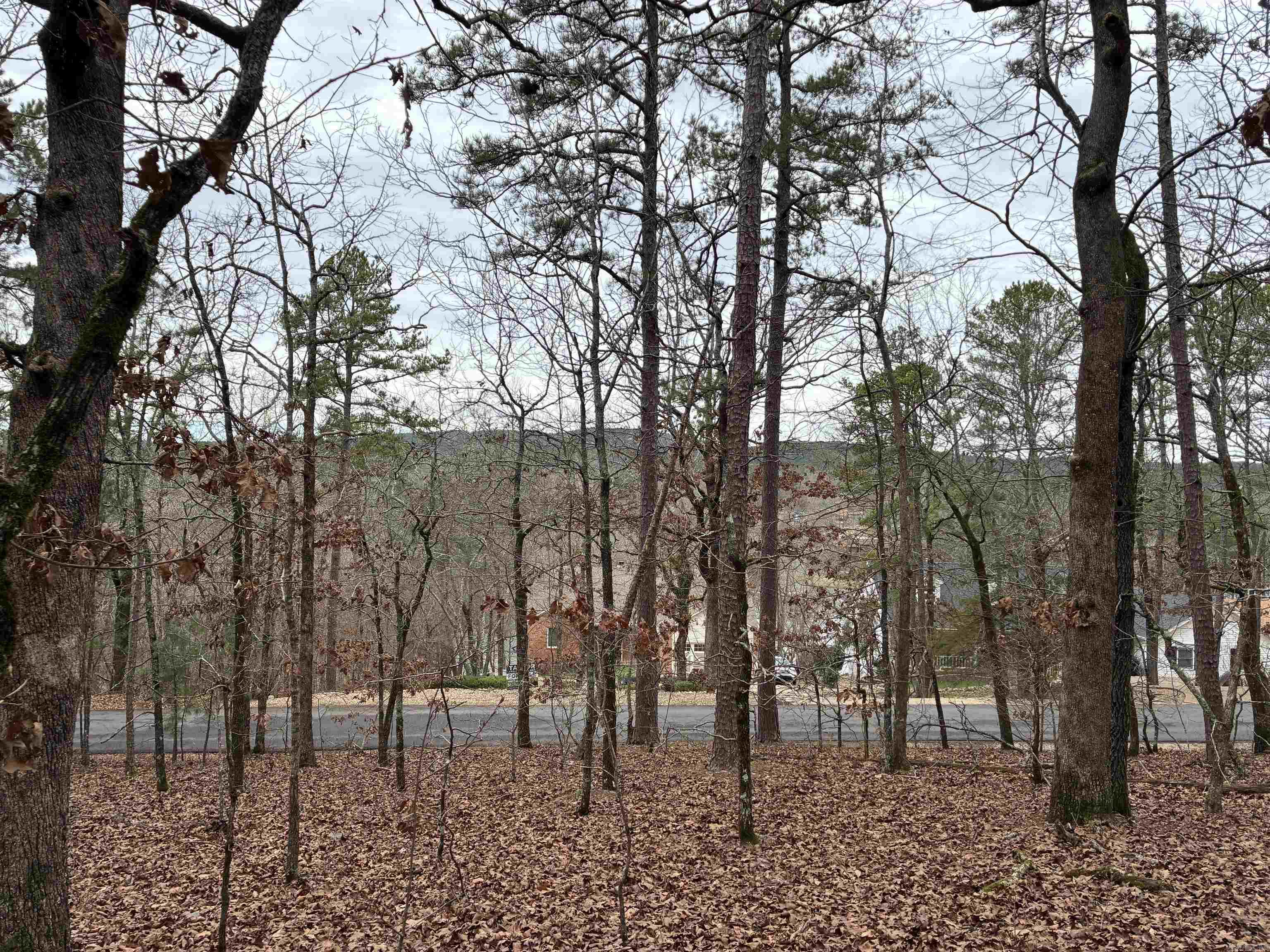 Lot 1 Fineza Way  Hot Springs Village, AR