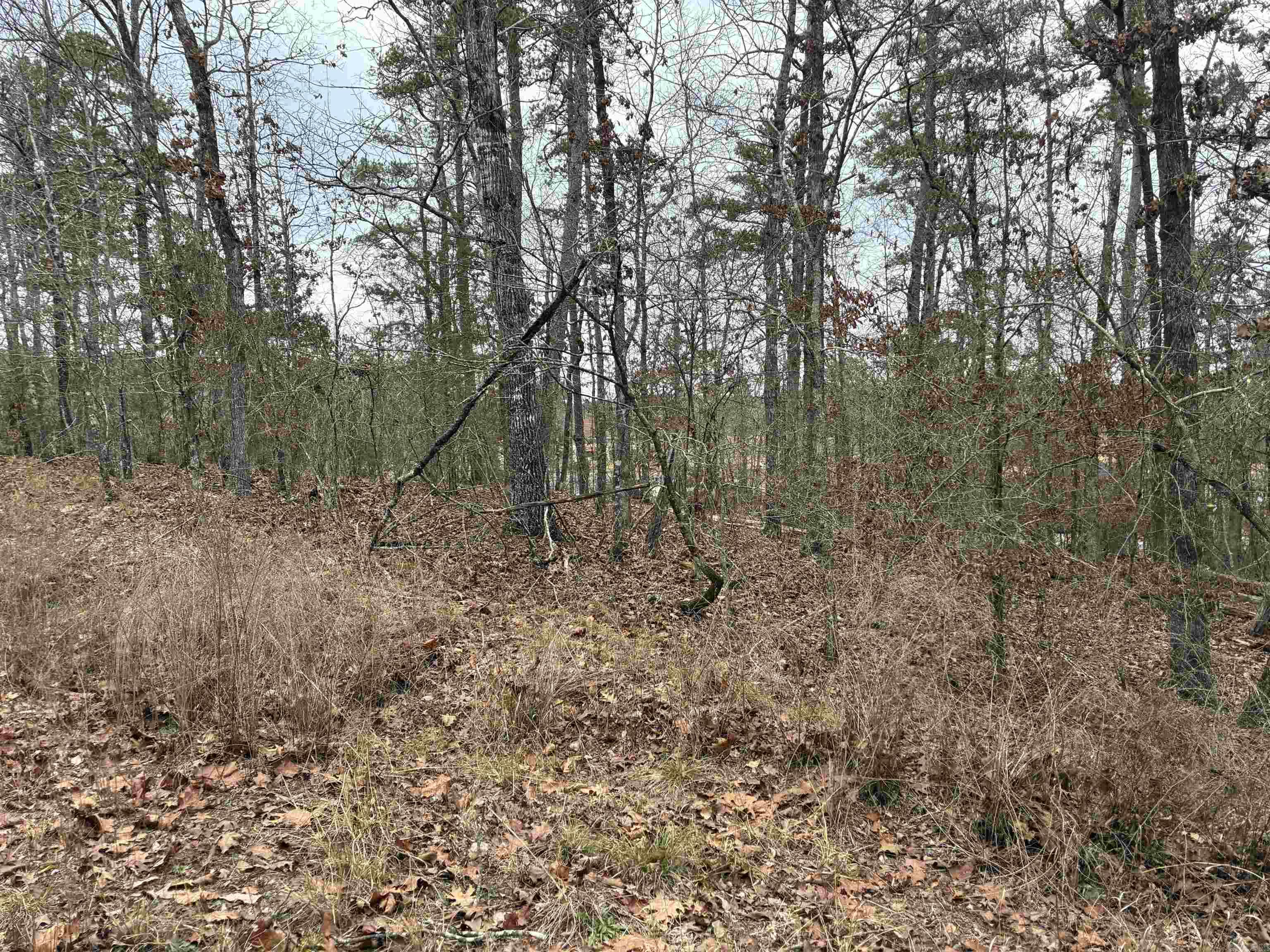 Lot 2 Pinocha Way  Hot Springs Village, AR